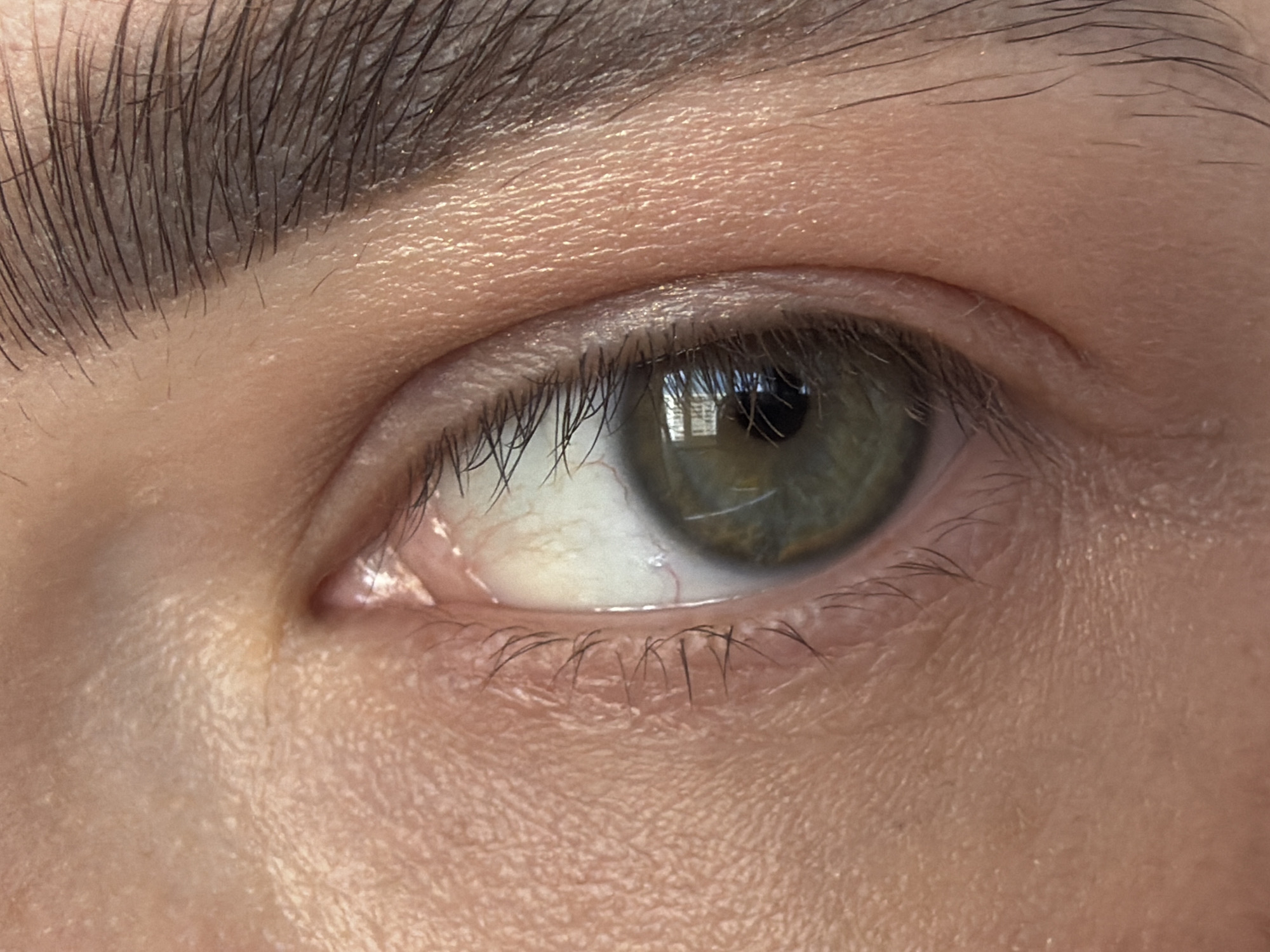 A close-up image of a human eye. The iris is a mix of green and brown hues. The pupil is dark and reflects a light source. Eyelashes are visible on the upper and lower eyelids. Above the eye is a dark eyebrow. The skin around the eye appears smooth with fine wrinkles. No specific location can be determined from this image.
