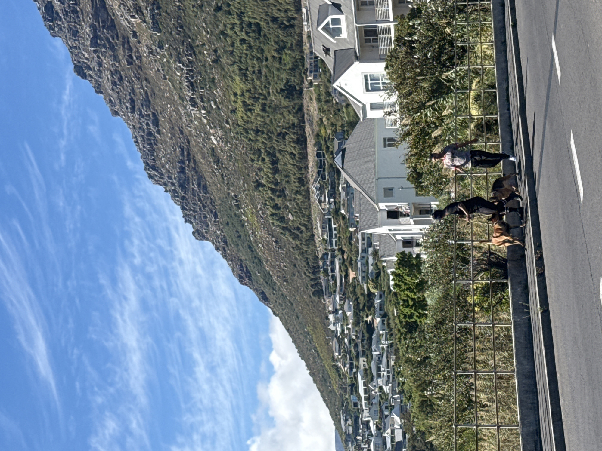 The image presents a view in Hout Bay, South Africa, dominated by a mountain slope to the left of the frame, contrasting against a blue sky streaked with wispy clouds. Densely packed residential housing cascades down the hillside toward the right. A fence runs along the right edge of the frame, next to a road. On the road a woman and several dogs are present.