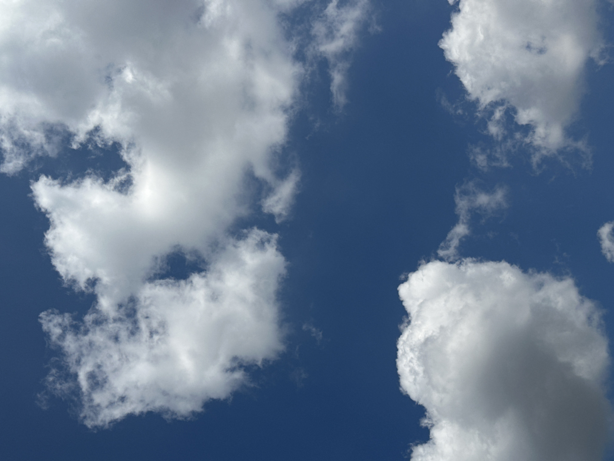 The image displays a clear, deep blue sky with scattered cumulus clouds. The clouds are white and puffy, with some appearing larger and more substantial than others. The lighting suggests it is daytime, with sunlight illuminating the upper surfaces of the clouds, creating bright highlights and soft shadows. The composition is dominated by the sky, with no ground visible. The image does not provide any information about the city of Yessentuki, Russia, nor does it contain any people, subjects, objects, or actions that would relate to that location. It is a straightforward, unpopulated sky photograph.