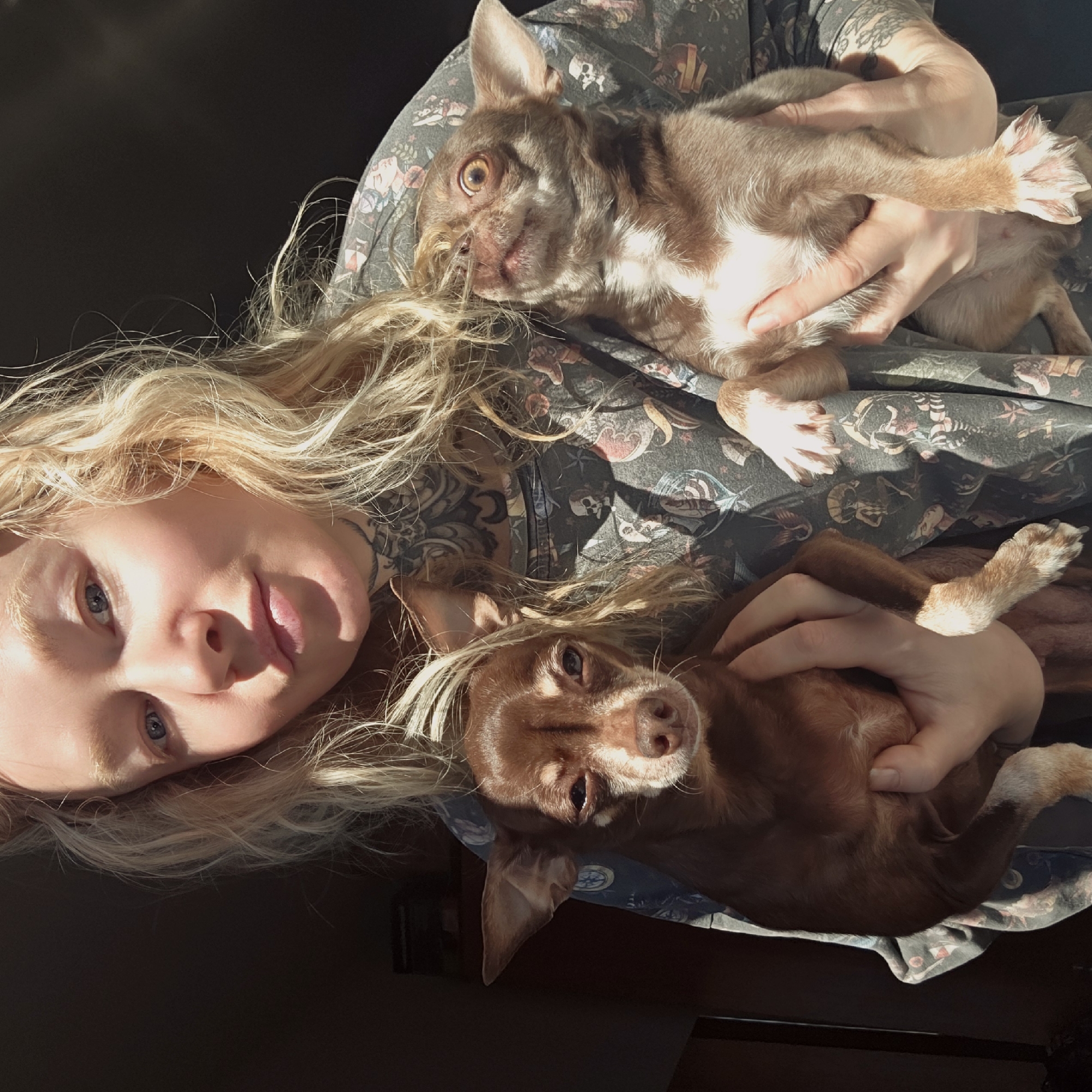 A woman with fair skin, blue eyes, and blonde hair lies on her back. She is holding two brown Chihuahuas. She has tattoos on her neck and arm. She is wearing a gray patterned shirt. The location is indiscernible; there is no evidence to indicate the city of Saint Petersburg, Russia.