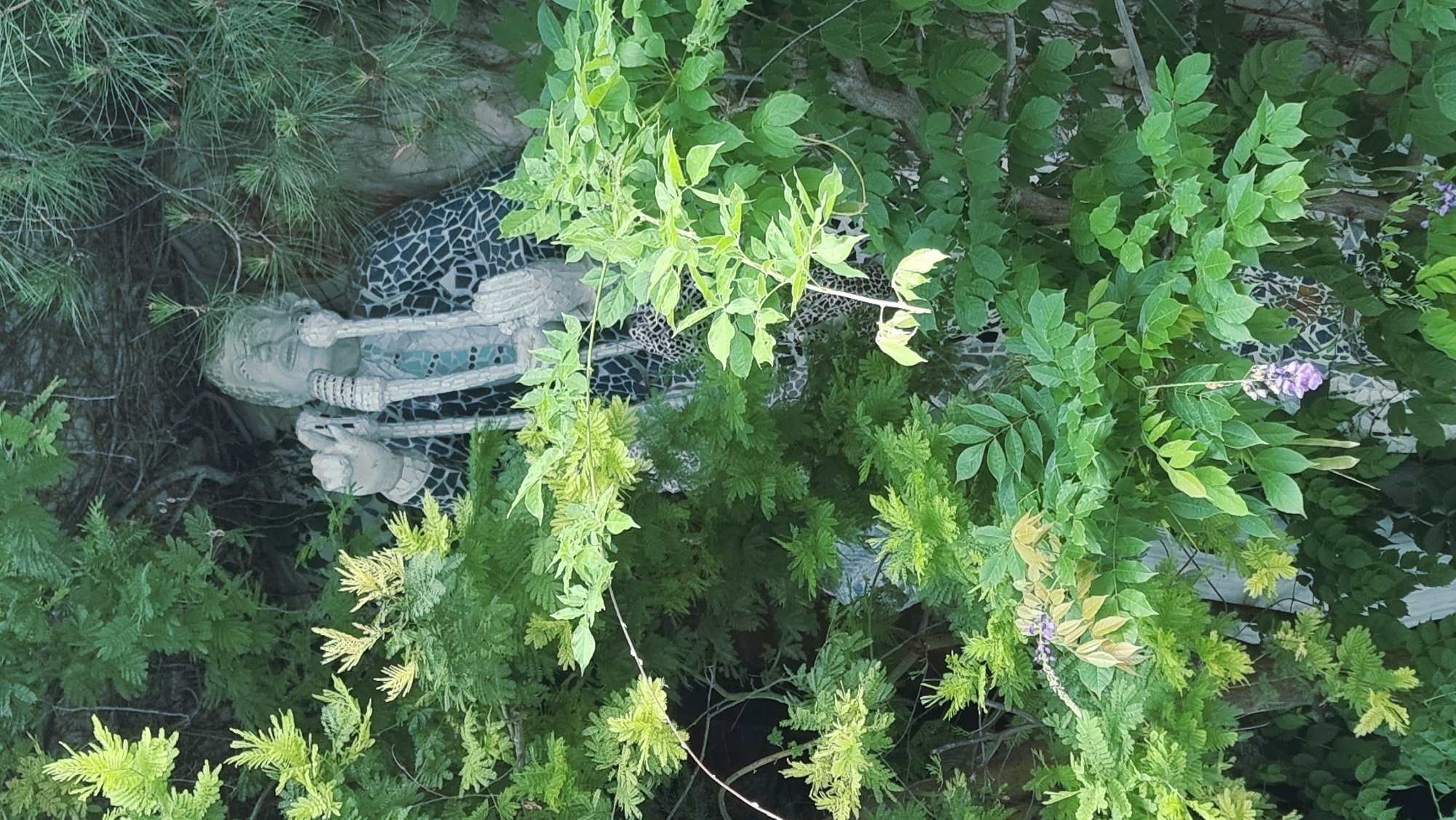 This image depicts a mosaic statue of a man with a microphone, partially obscured by lush green foliage. The statue appears to be made of small, irregularly shaped tiles, predominantly in shades of gray, white, and black, forming a patterned suit. The man's face is sculpted with exaggerated features, and his mouth is open as if speaking or singing into the two microphones held before him. The microphones themselves are also rendered in a mosaic style. The background is dark and appears to be a natural setting, possibly a garden or a wooded area, with branches and leaves creating a dense canopy. Hints of purple flowers are visible in the lower portion of the image. The overall impression is of a hidden or whimsical art installation.