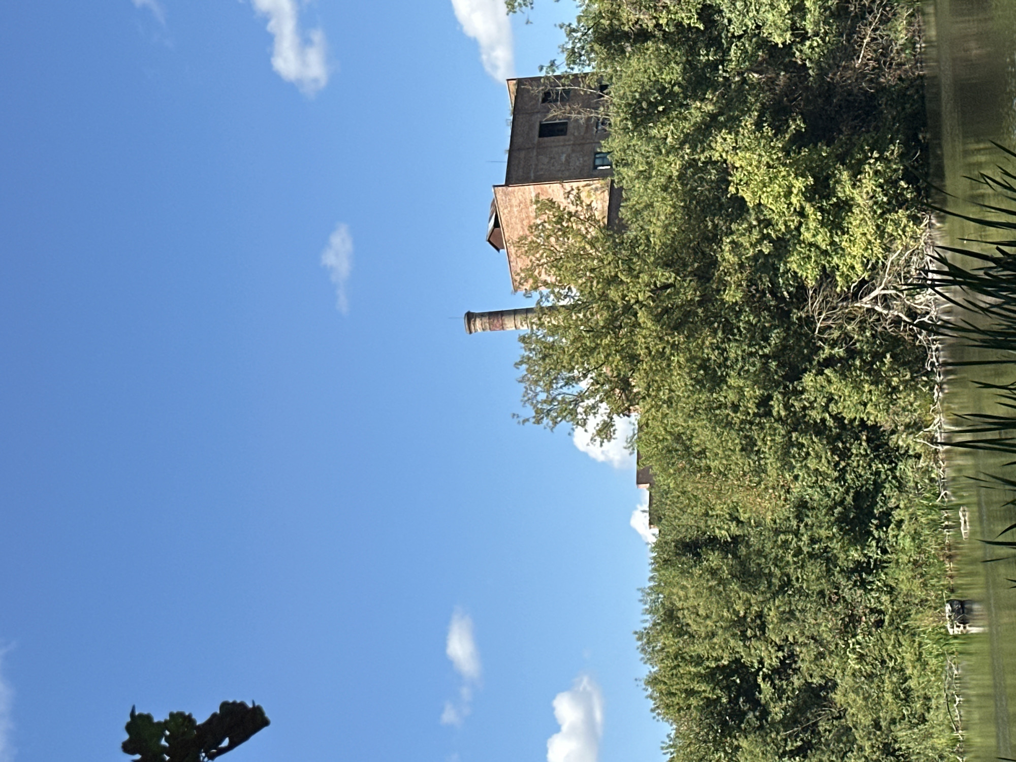 A pastoral scene unfolds with a wide shot of a body of water in the foreground, reflecting a lush green bank dotted with reeds and fallen branches. Beyond the greenery, a brick building with a tall, cylindrical smokestack stands silhouetted against a clear blue sky with scattered white clouds. The building, appearing somewhat derelict, is partially obscured by the dense foliage. The overall impression is one of a tranquil, natural setting juxtaposed with remnants of industrial activity, possibly located on the outskirts of Shatava, Ukraine.
