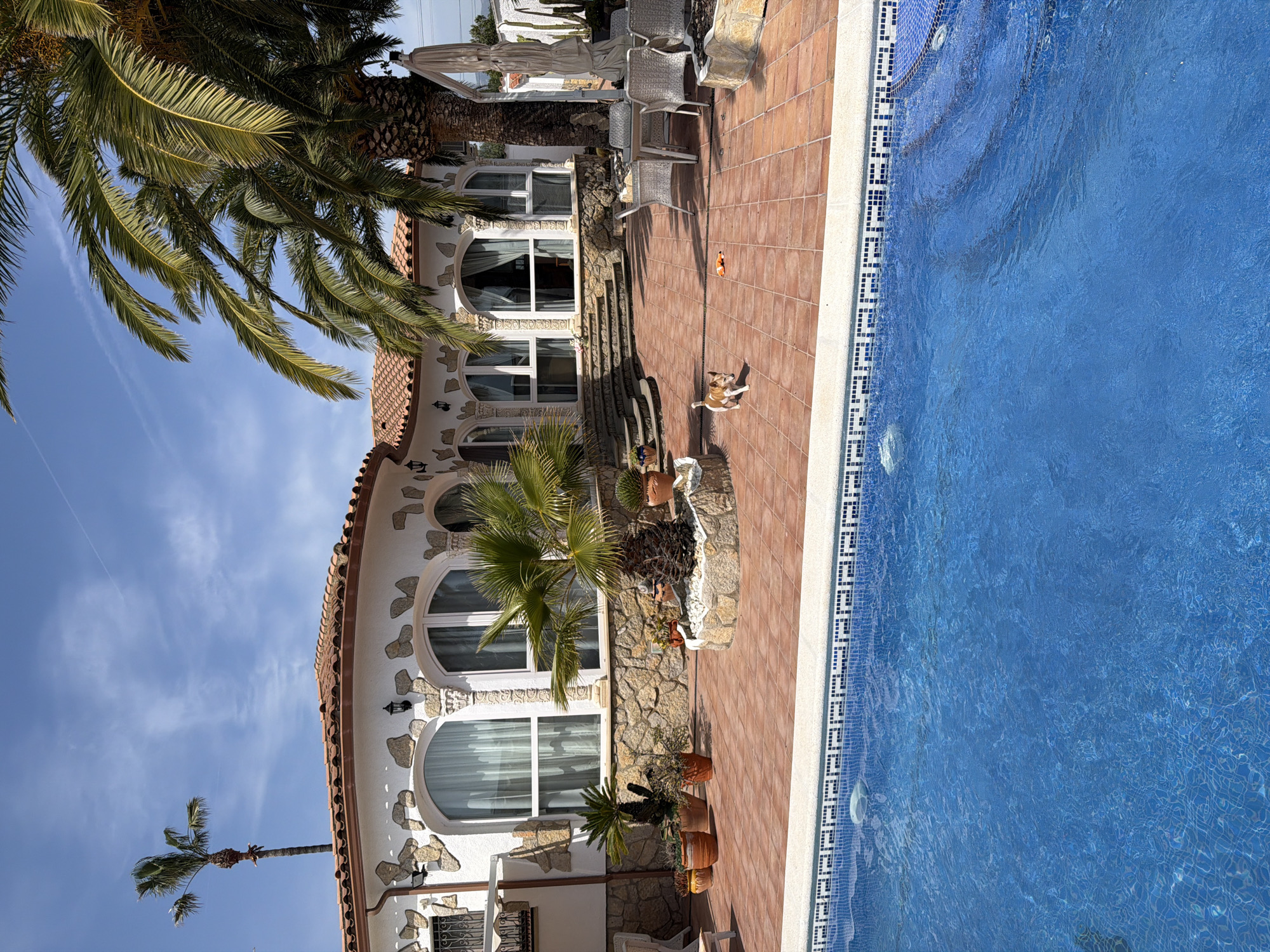 This outdoor scene depicts a bright, sunny day next to a pool, possibly in Mont-roig del Camp, Spain, given the architectural style and vegetation. A two-story building stands adjacent to the pool, featuring a white facade with arched windows framed by stone accents. There are several potted plants and palm trees around the property, adding to the outdoor ambiance. A small dog stands on the tiled patio between the building and the pool. Beyond the building, glimpses of other structures can be seen in the background. The pool water is clear blue with white trim. Several outdoor chairs and furniture are on the patio near the pool.