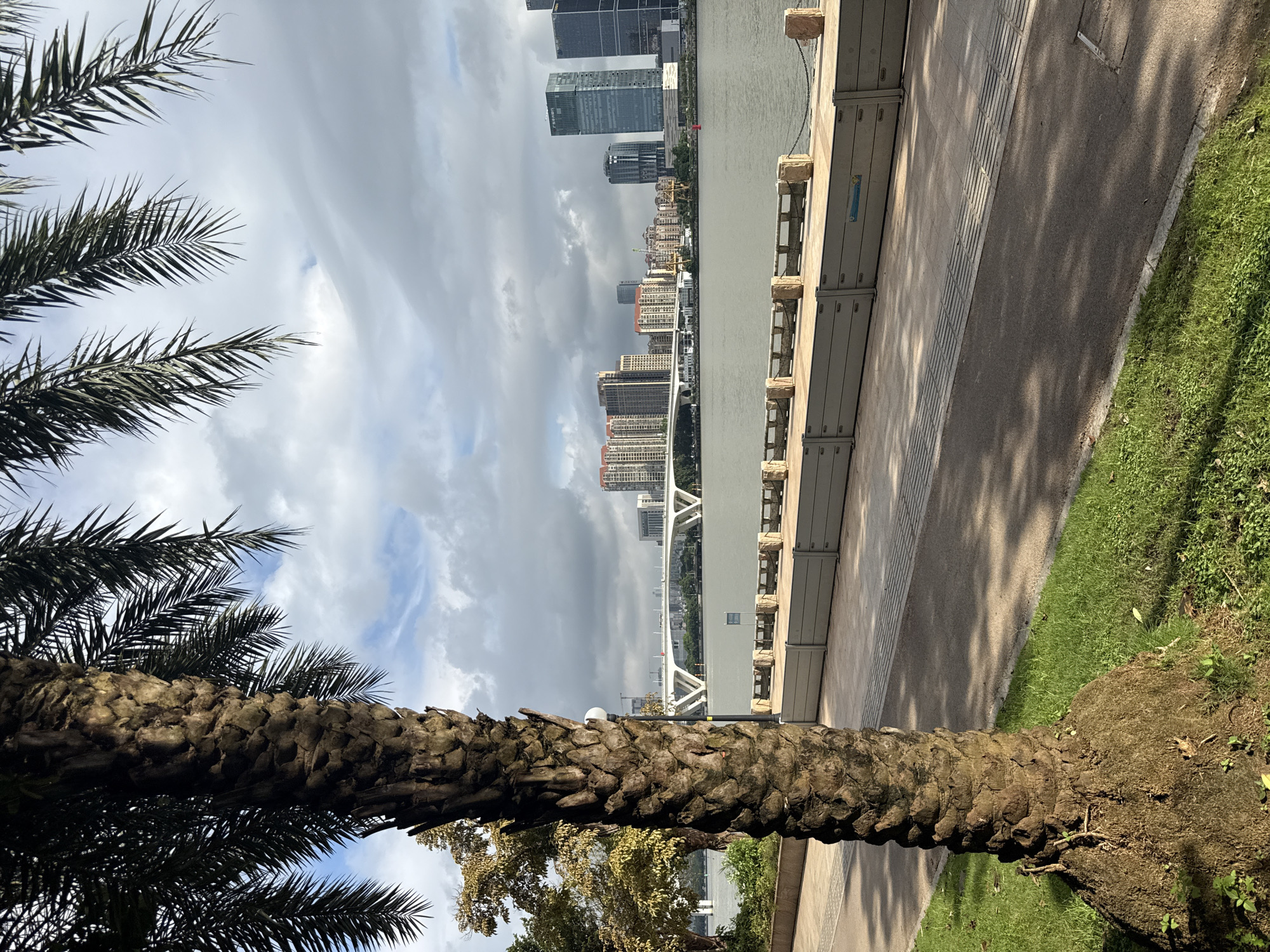 A view of the Haizhu District waterfront in Guangzhou, China, is captured on a cloudy day. In the foreground, the textured, rough bark of a large palm tree trunk dominates the left side of the frame, with its fronds extending into the upper portion of the image, casting dappled shadows on the pathway below. To the right of the palm, a paved walkway runs parallel to a body of water. Along the water's edge is a low, modular barrier with stone bollards and a rope railing. Beyond the barrier, a wide river or bay separates the foreground from the cityscape. Across the water, a modern city skyline is visible, featuring a prominent white bridge with arched supports spanning the water. Numerous high-rise buildings of varying architectural styles and colors make up the distant urban landscape. The sky is overcast with a mix of gray clouds and patches of blue sky, suggesting a diffused light. The scene is serene and depicts an urban park or promenade area.