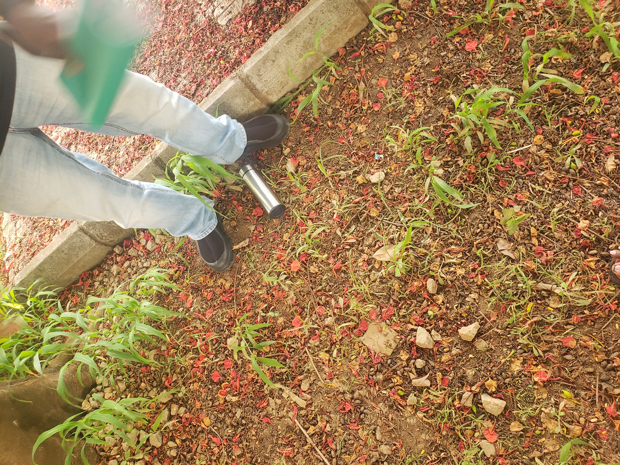The image depicts a ground-level view of a paved area, likely in a park or outdoor space within Kaduna, Nigeria. The ground is covered with dry soil, scattered rocks, and a significant amount of fallen red petals, suggesting the presence of flowering trees. Several small green plants are growing through the debris.
In the mid-ground, a person is partially visible, wearing light blue jeans and dark shoes. Their right leg is positioned near a concrete curb. To the left of their feet, a silver-colored thermos or cylindrical container rests on the ground. The person appears to be holding a flat, green object in their right hand, partially obscured by the camera's perspective. The lighting suggests it is daytime, possibly with sunlight filtering through nearby foliage. The overall scene conveys an outdoor, slightly unkempt environment, typical of some public spaces in the city.