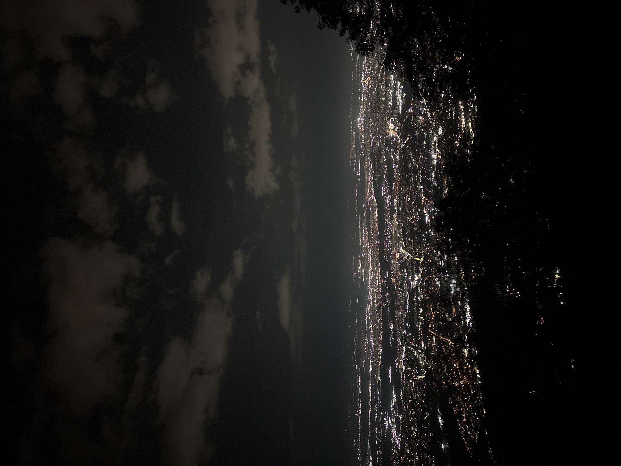 The image presents a wide-angle, high-elevation nighttime view of the city of Sofia, Bulgaria. The upper portion of the frame features a dark sky interspersed with visible, irregularly shaped clouds, subtly illuminated from below by the city lights, suggesting an overcast or partly cloudy night. The midground encompasses a vast urban expanse, characterized by a dense, intricate network of countless artificial lights. These lights, predominantly white and amber, delineate city streets, residential areas, commercial zones, and infrastructure, stretching horizontally across the frame and receding into the hazy distance. The lower third of the image, particularly on the right side, shows dark, silhouetted foliage and tree lines, indicating the elevated, vegetated terrain of the viewpoint from which the photograph was taken. No individuals, specific actions, or identifiable objects beyond the urban lighting patterns and natural elements are discernible.