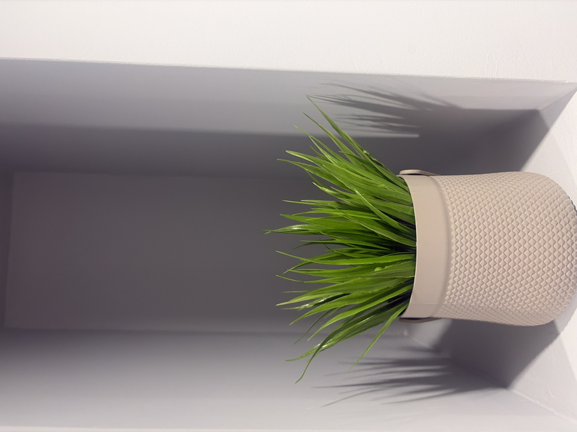 A small potted artificial grass plant sits in a recessed shelf in a building. The plant is green and spiky, with long, thin blades. It is housed in a beige, textured pot. The shelf is painted a light gray color, and the walls of the shelf cast shadows of the plant onto the background. The scene is indoors and appears to be a modern interior design element. This image was captured in Podgumer, Bulgaria.