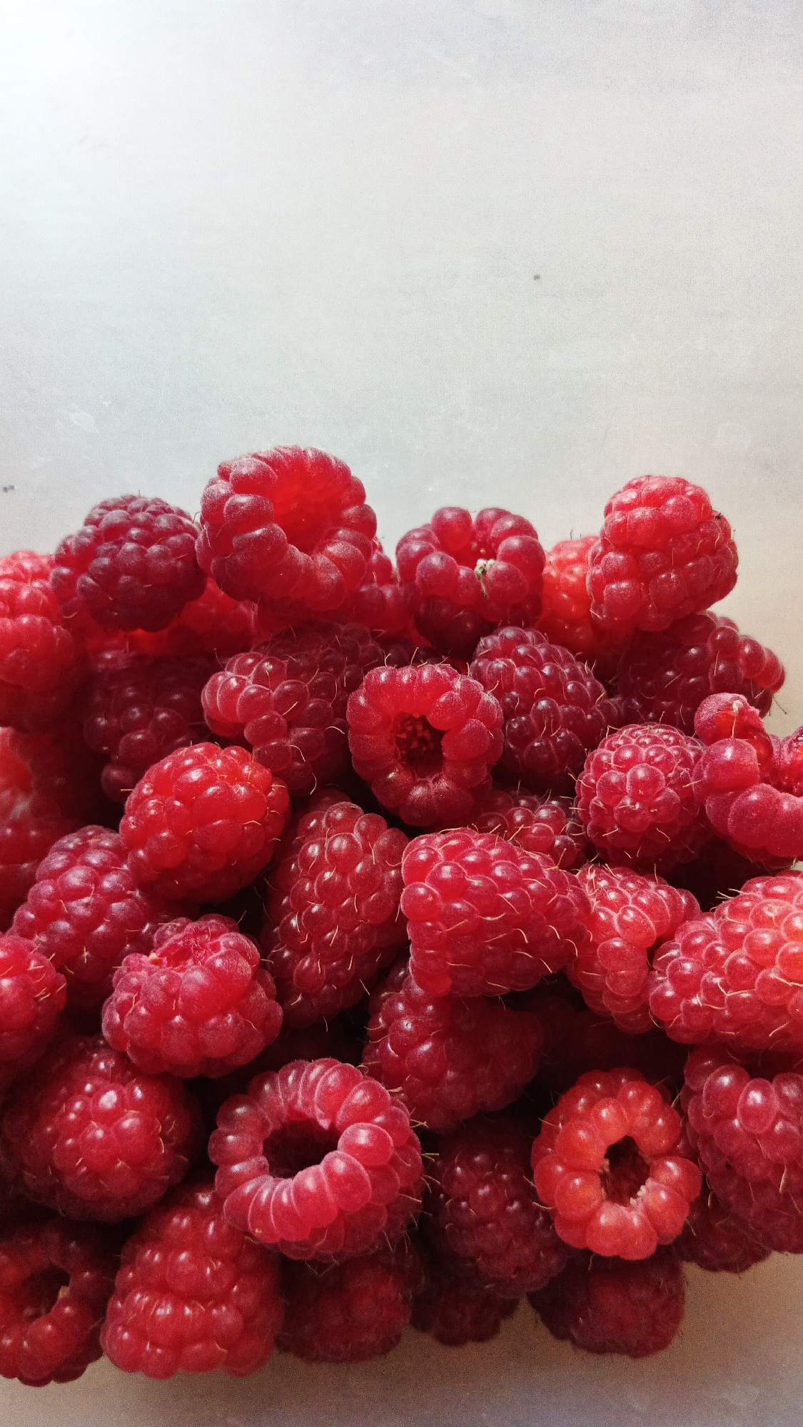 A close-up, overhead shot shows a large pile of ripe raspberries. The berries are a vibrant red color and are densely packed together, filling the lower portion of the frame. Some raspberries are whole and plump, while others appear slightly squashed or broken. The lighting is bright, suggesting an indoor setting with artificial light, or possibly a very bright, overcast day. The background is a plain, light-colored surface, possibly a countertop or table, which is out of focus. There is no visible text in the image. The overall impression is one of abundance and freshness. This image is likely from Kryvyi Rih, Ukraine.