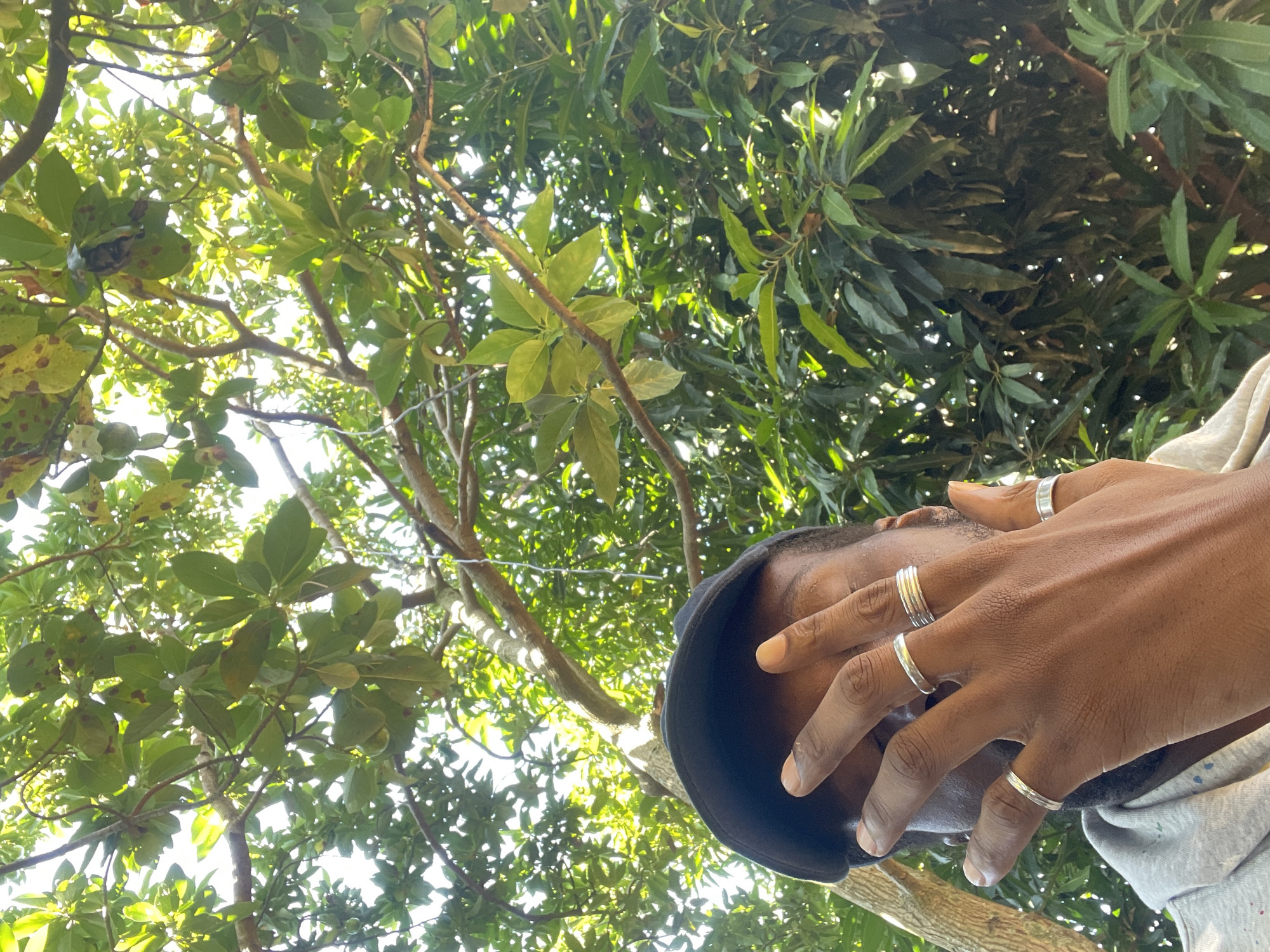 An outdoor, low-angle shot captures a person wearing a black baseball cap, partially obscuring their face with their right hand. The hand is adorned with several silver rings. The person is dressed in a grey hoodie. The background is filled with lush green foliage and branches of a tree, suggesting a natural or park setting. The lighting indicates a bright day, with sunlight filtering through the leaves. There are no discernible landmarks that would specifically place this scene in Jos, Nigeria.