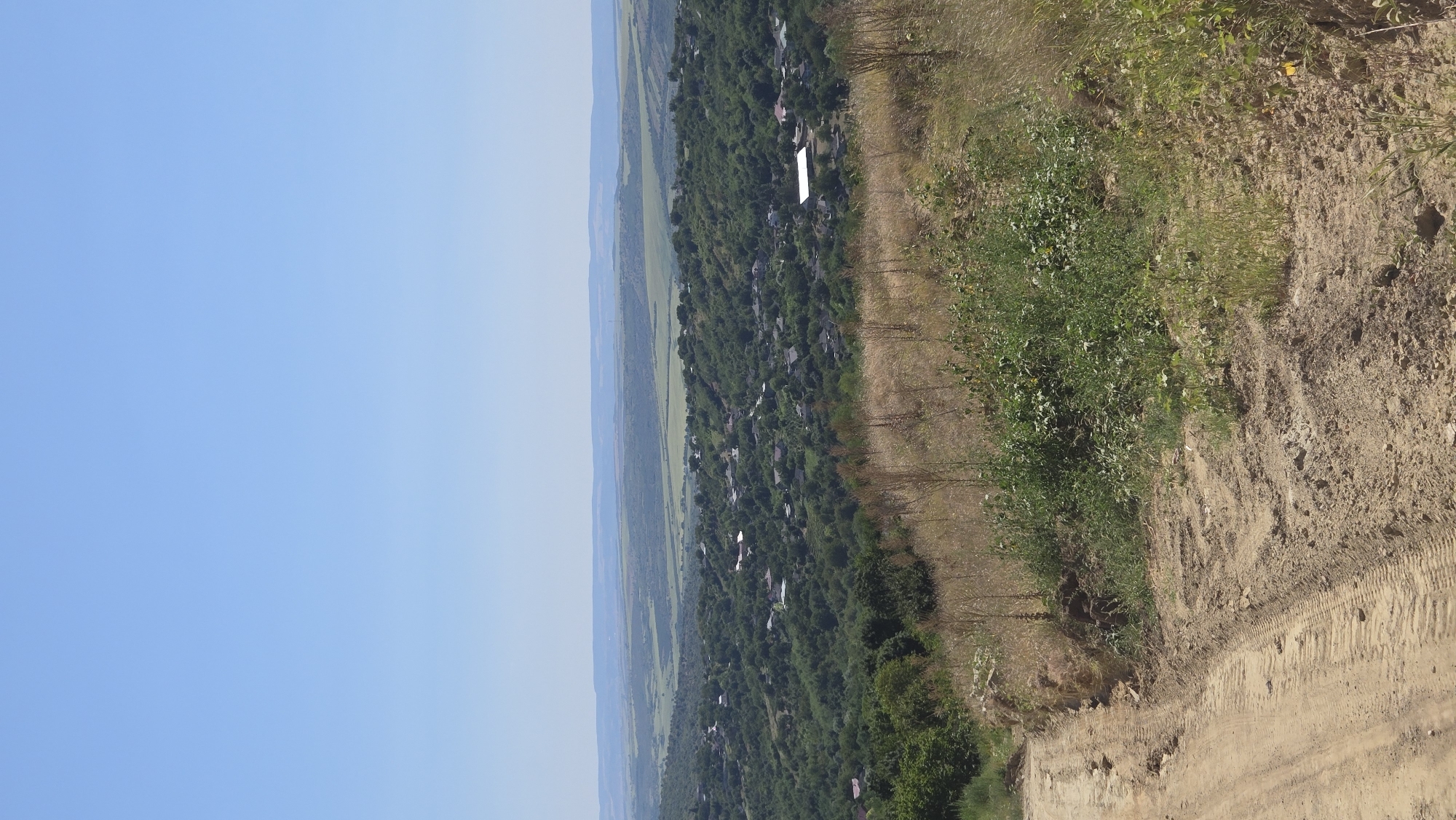 The image depicts a panoramic view of the village of Bălănești, Moldova, seen from an elevated dirt path in the foreground. The path is rutted, suggesting recent vehicle activity. To the right of the path, dry grasses and green vegetation grow on a slope.
In the mid-ground, the village of Bălănești spreads across rolling hills. Numerous houses with various roof colors are nestled amongst dense green trees. The settlement appears to be a relatively small and rural community, with buildings integrated into the natural landscape.
In the background, further hills and agricultural fields stretch towards the horizon under a clear, pale blue sky. The overall impression is of a sunny, rural day in the Moldovan countryside. There are no people visible in the image.