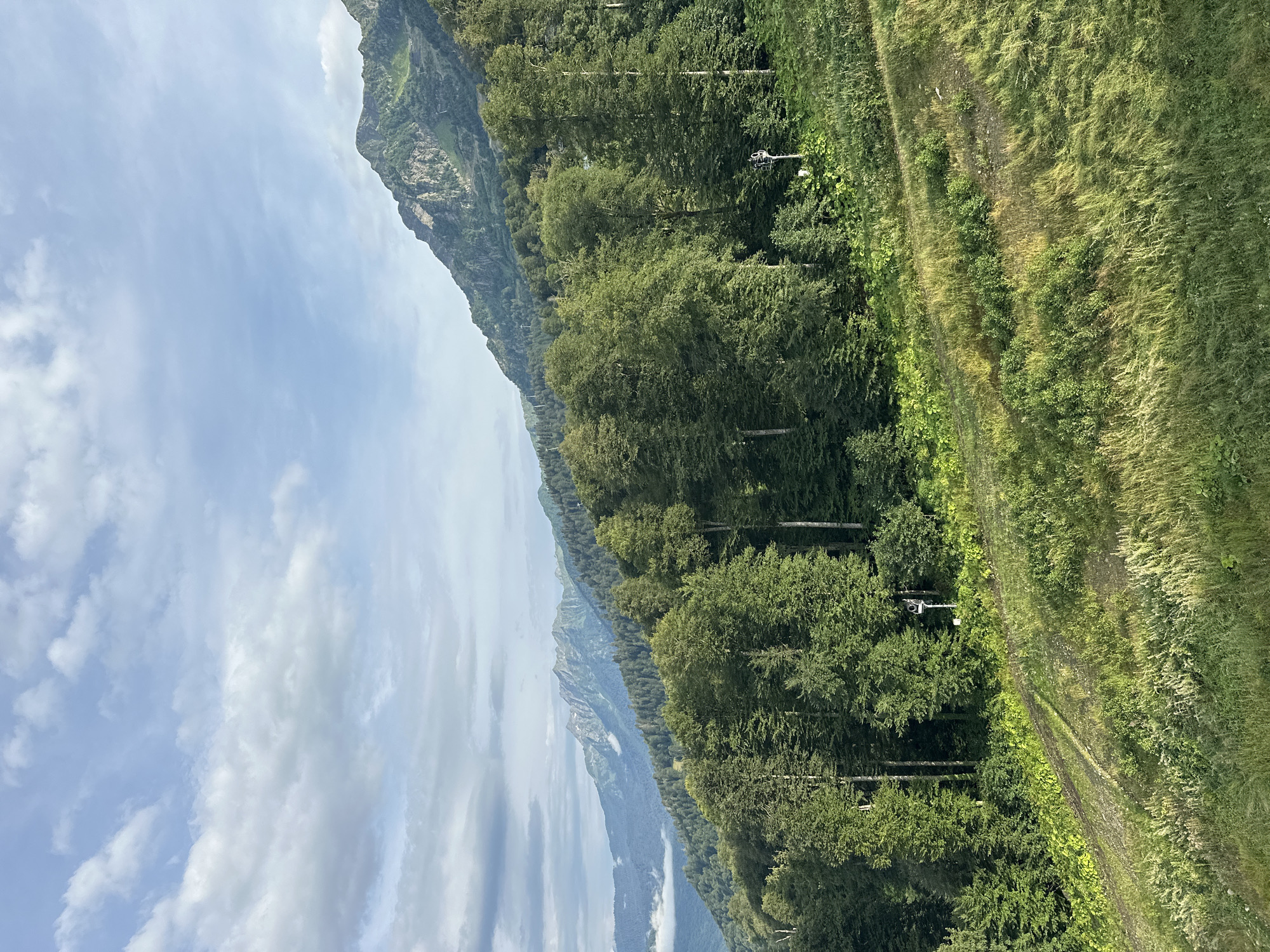 The image depicts a lush, mountainous landscape with a clear sky and scattered clouds. In the foreground, a grassy slope transitions into a dense forest of tall, green trees. A dirt path winds its way up the slope, disappearing into the trees. In the mid-ground, the forest continues, with some trees appearing taller than others. Further back, more distant mountain ranges are visible, their peaks jagged and covered in vegetation. The overall impression is one of a serene and natural environment, possibly a hiking or skiing resort area in the Caucasus Mountains near Estosadok, Russia, given the presence of what appear to be ski lift towers and signage integrated into the natural scenery. The lighting suggests it is daytime, possibly late afternoon, with sunlight casting shadows and highlighting the textures of the foliage. There are no people or animals visible in the image.