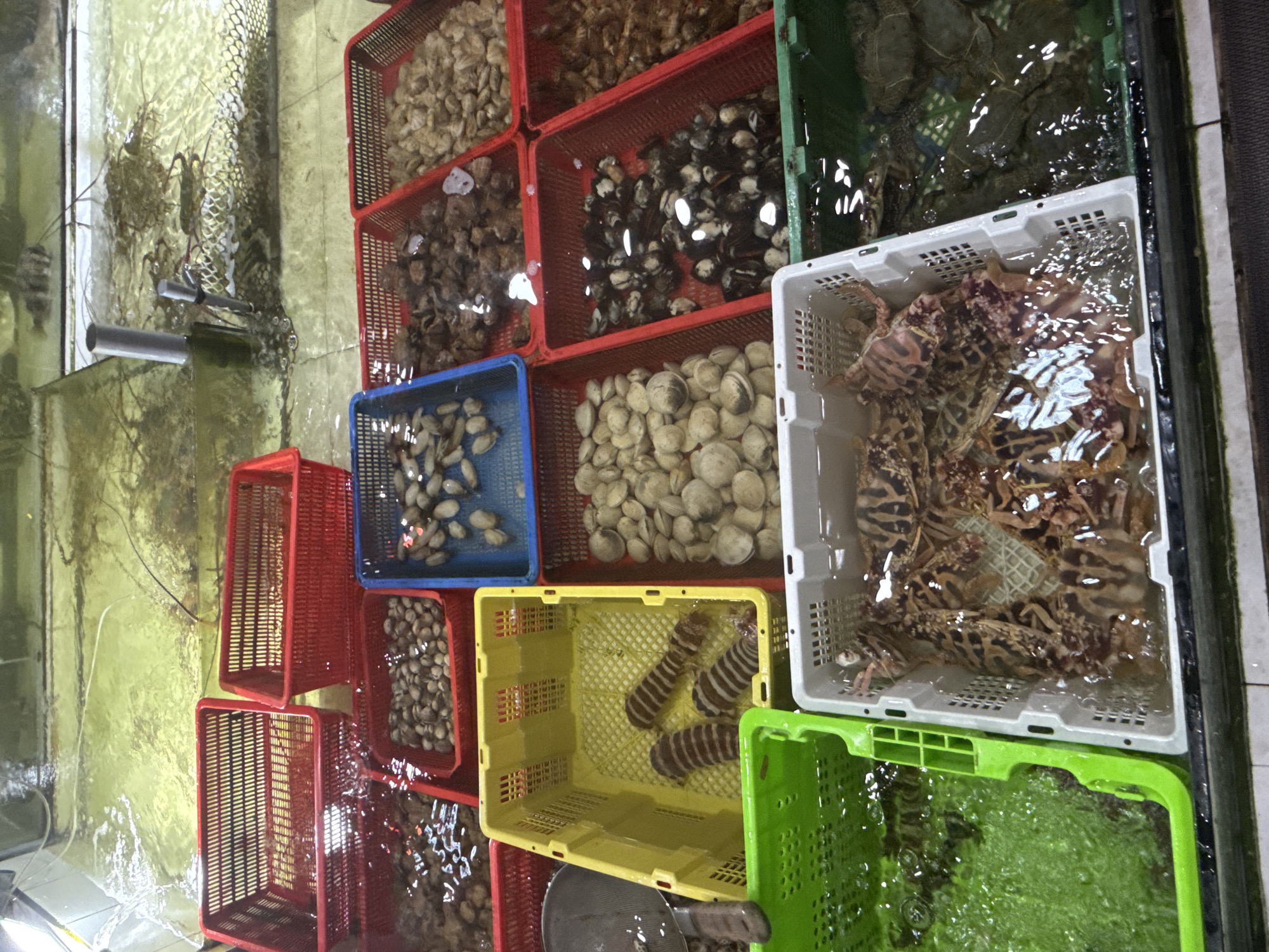 The image depicts an indoor seafood display in Nha Trang Ward, Vietnam. A series of stacked, brightly colored plastic baskets containing various types of live seafood are arranged within a tank of water. The types of seafood include clams, crabs, and mantis shrimp. A few empty red baskets are also visible. A metal pipe is submerged in the water on the left side of the image. The water appears slightly murky.