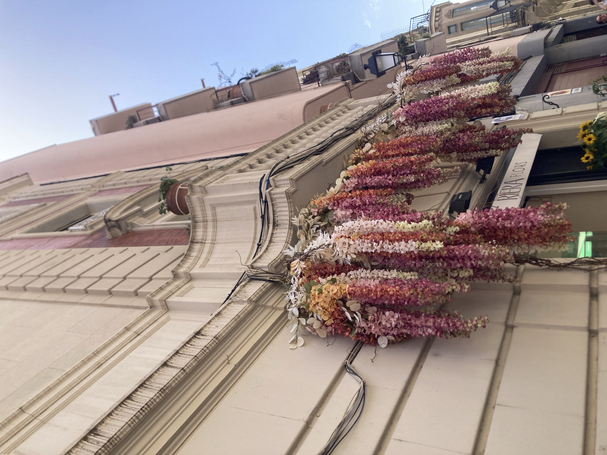A low-angle shot captures the facade of buildings in Barcelona, Spain, adorned with hanging floral arrangements. The buildings, one a light cream color with decorative molding and a balcony, and another painted a pale pink, line a street. The cream building features horizontal lines etched into its facade and a rounded cornice above a balcony. Cascading from the balcony are numerous strands of artificial flowers in shades of pink, white, and orange, creating a vibrant display. Electrical wires are visible, strung along the cream building.
The pink building, taller and more modern, has multiple balconies with railings and potted plants. A street lamp with a black metal fixture is mounted on the side of this building. Below the floral display, a sign for "RIERA.FLORS" is visible, indicating a flower shop. To the right, a tan building with architectural details and windows is partially visible, and another street lamp is mounted there. In the foreground, at the bottom right, a portion of a person's shoulder and arm are visible, suggesting a passerby. The sky above is a clear, bright blue.