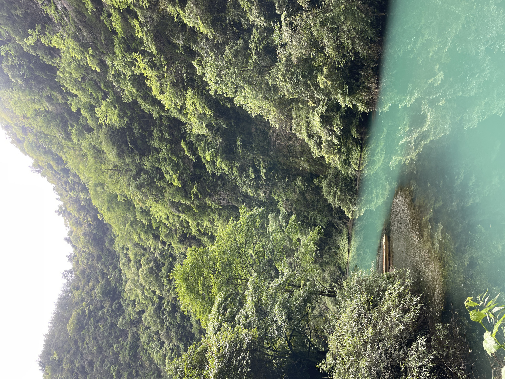 The image depicts a scene in Sanguansi, China. A river with turquoise water flows alongside a steep hillside covered in dense, green vegetation. The vegetation consists of trees and smaller bushes. A small wooden raft is visible in the river near the shore. There are no people visible. The overall environment suggests a natural, possibly mountainous, location.