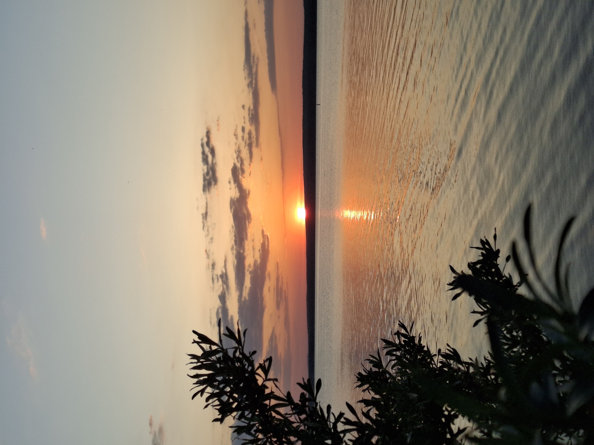 The image depicts a sunset over a body of water. The sun, a bright orange orb, is partially obscured by clouds near the horizon, creating a reflection on the water's surface. The sky exhibits a gradient of colors, ranging from light blue to orange and pink. A dark, silhouetted landmass is visible on the horizon. In the foreground, a cluster of foliage partially obscures the view. The image is taken at the city of Chaikovsky, Russia.