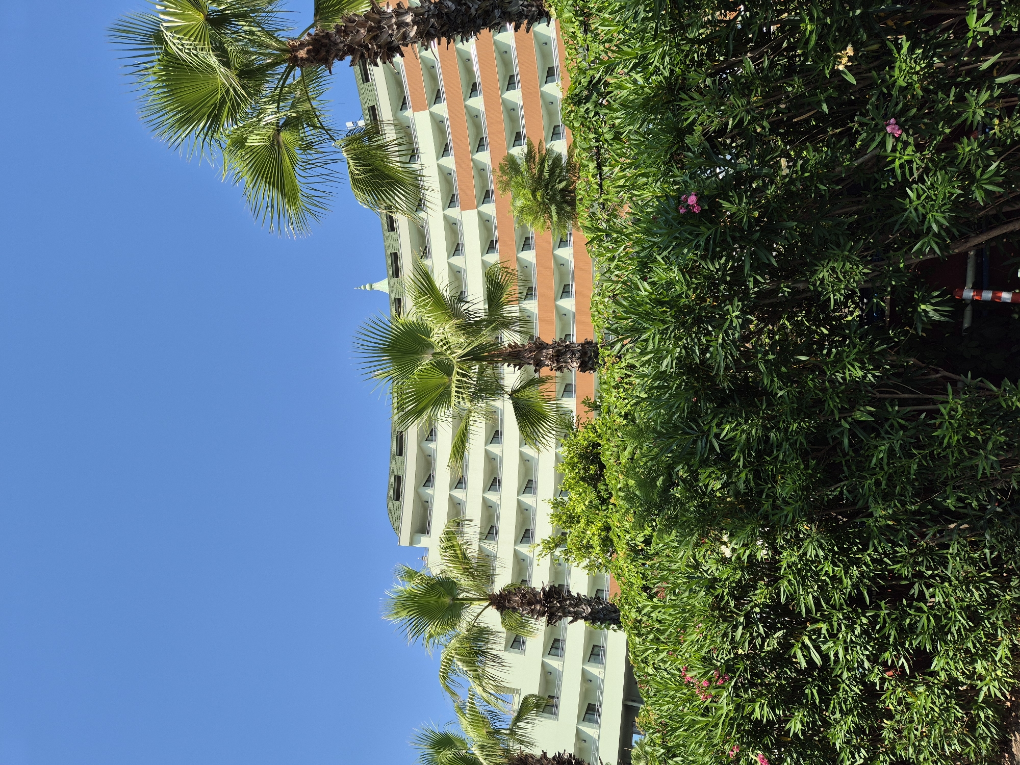 An outdoor, low-angle, eye-level shot shows the curving facade of a light-colored, multi-story building with orange trim and a green roof. Palm trees are visible in the foreground and to the right of the building, with their fronds extending into a clear blue sky. A dense green hedge with some small pink and white flowers runs across the bottom of the frame, partially obscuring the building's lower levels. The scene appears to be a resort or hotel.