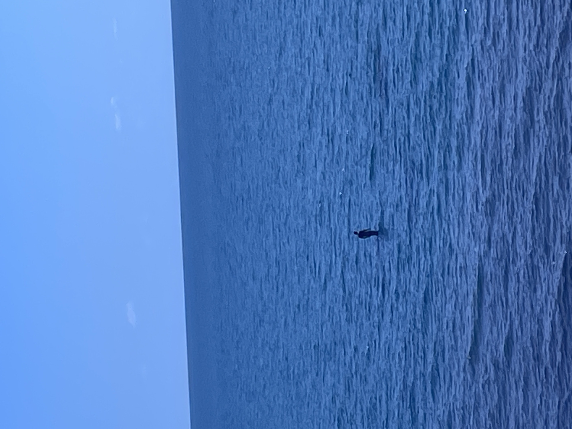 A single person stands in the middle of a vast, blue, choppy ocean, completely alone. The person is wearing dark clothing and appears to be facing away from the camera. The horizon line is sharp, dividing the deep blue of the water from the pale blue of the clear sky. There are no other visible objects or beings in the frame. The scene is devoid of any recognizable landmarks or structures, suggesting an open water environment. The presence of a lone figure in such a vast expanse of water evokes a sense of isolation and solitude. The water appears to be a deep, consistent blue, with small, white-capped waves rippling across its surface. The sky is a uniform, bright blue, with no clouds visible except for a few very faint wisps in the distance. The overall impression is one of stark natural beauty and profound quietude.