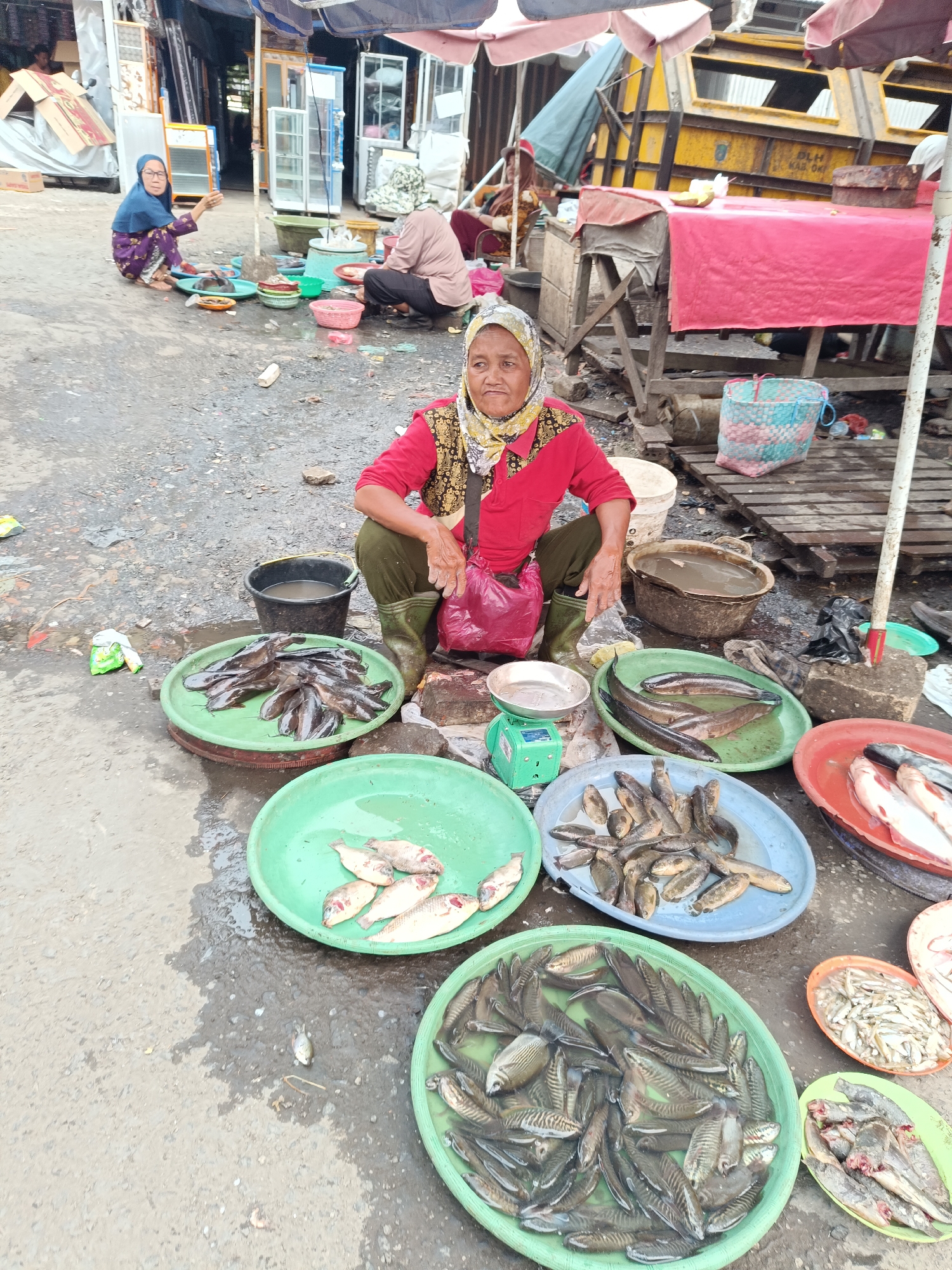 An elderly Indonesian woman, wearing a red shirt, yellow headscarf, and green boots, sits on the wet ground in an outdoor market in Kayu Agung, Indonesia. She is surrounded by several large green, blue, and red platters filled with various types of fish, some of which are still whole and some are processed. A scale and a red plastic bag are beside her. Other people and market stalls are visible in the background. The ground is wet and appears to be muddy.