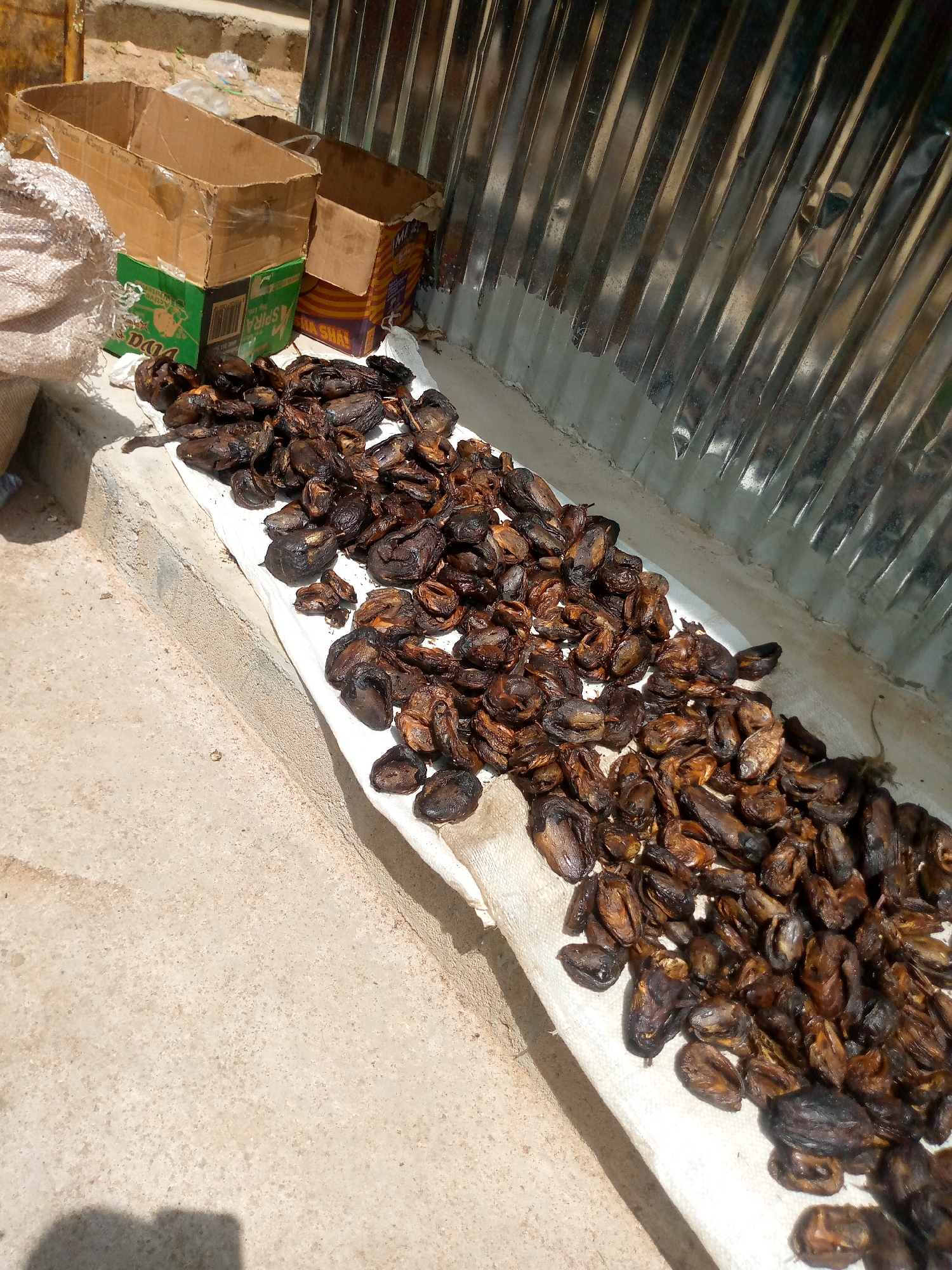 In Jalingo, Nigeria, dried food products, likely fish or dried fruits, are arranged in a long line on a white cloth, spread on a concrete surface. The food items are dark brown and appear shriveled, suggesting they have been sun-dried. To the left of the food, two cardboard boxes are placed, one on top of another, with one box being green and featuring branding. A white woven bag is also visible to the far left, partially obscuring the boxes. In the background, a corrugated metal structure stands vertically, reflecting sunlight. The ground is a light-colored concrete, with some shadows cast by an unseen object or person. The overall scene suggests an outdoor marketplace or a food processing area where products are being dried or prepared for sale.
