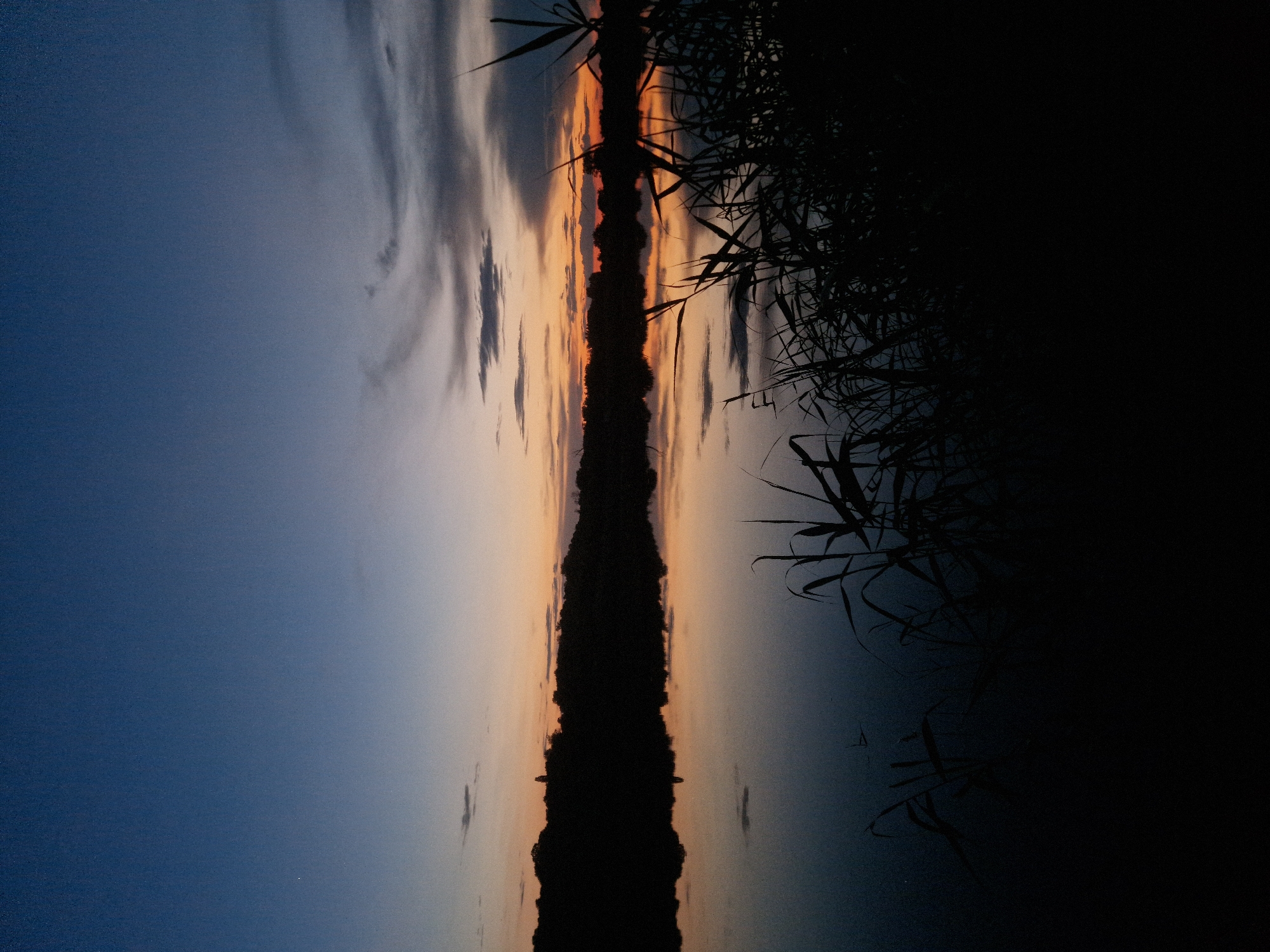 The image depicts a tranquil natural landscape at dusk, specifically a body of water, likely a river or lake, on the outskirts of Ustyvytsia, Ukraine. The sky transitions from a deep twilight blue at the top to hues of orange and yellow near the horizon, indicating the sun has recently set. Wispy clouds are scattered across the sky, catching the last rays of light.
Dominating the middle ground is a silhouetted treeline on the far bank of the water, reflecting softly on the calm surface. The water itself is dark and still, mirroring the sky and the treeline with a slight distortion. In the foreground, the dark silhouettes of reeds or tall grass emerge from the water's edge, adding depth and texture to the scene.
There are no people or visible man-made structures, apart from a faint, spire-like object barely visible on the distant treeline, which might be a church steeple or a small tower, a characteristic element often found in rural Ukrainian settlements like Ustyvytsia. The overall atmosphere is one of peace and stillness.