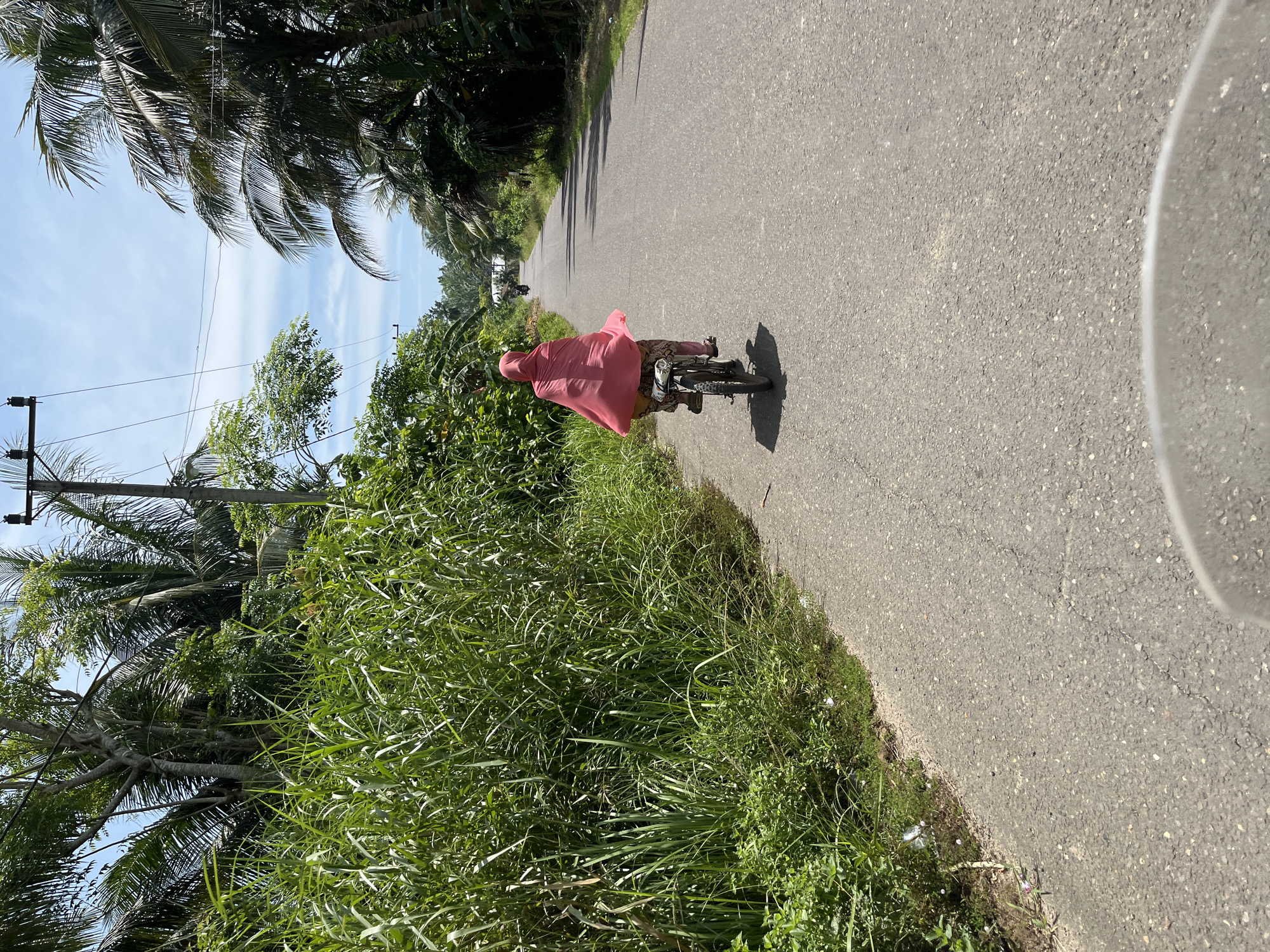 A person wearing a pink hijab and patterned trousers rides a bicycle down a paved road lined with lush green vegetation and palm trees. The sky is partly cloudy. In the distance, another motorcycle can be seen. The scene appears to be in a rural or semi-rural setting, possibly in Palohgadeng, Indonesia, given the tropical foliage and a utility pole with power lines. The perspective suggests the photo was taken from another moving vehicle.