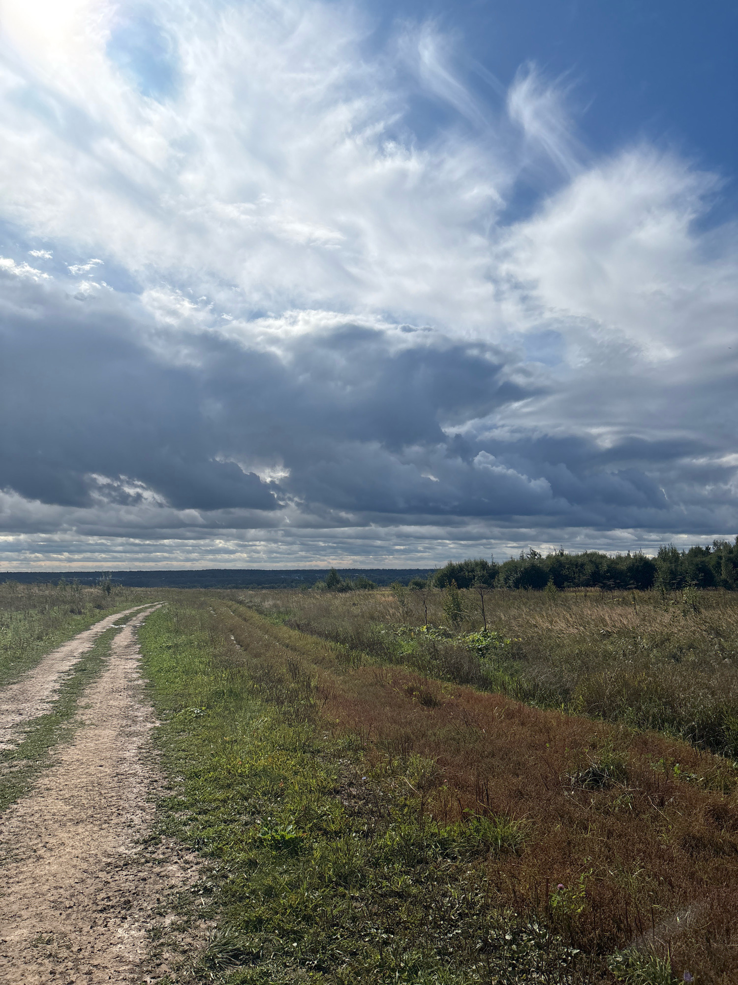 The image depicts a rural landscape with a dirt road winding through a field of dry grass and green vegetation under a dramatic sky filled with both dark, heavy clouds and brighter patches where sunlight breaks through. In the distance, a dense line of trees forms the horizon. The scene is likely located in or around Murakino, Russia, given its characteristic open fields and forested horizons. There are no people or animals visible in the frame. The overall impression is one of natural, untamed scenery under a changeable sky.