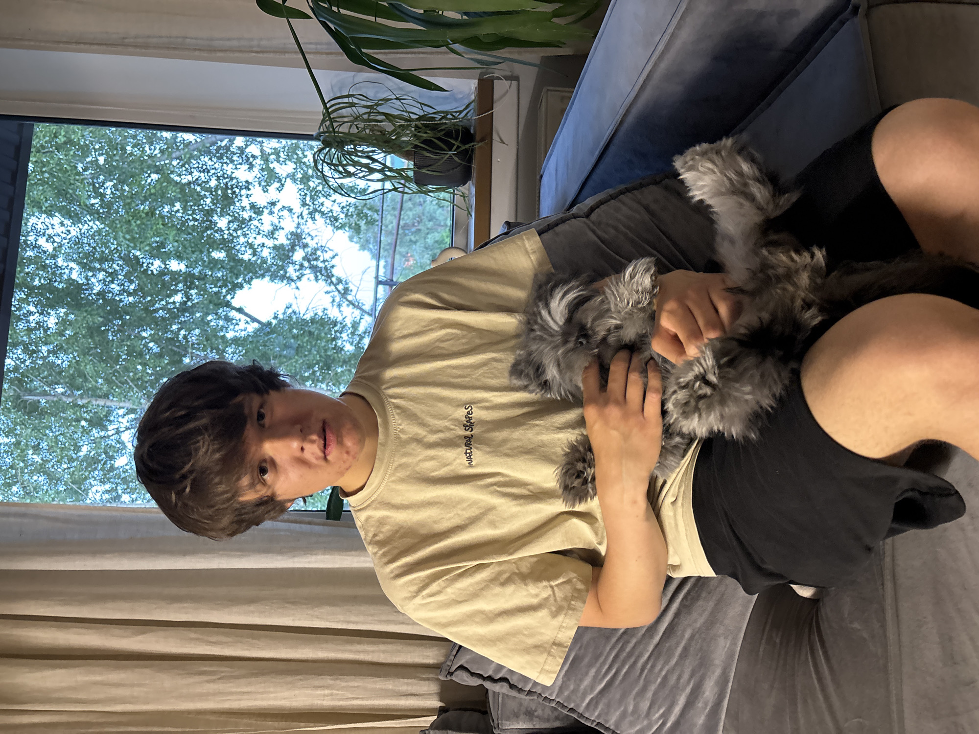 A young male is seated on a gray couch, holding a small, gray, fluffy dog. The man wears a light tan T-shirt with the words "Natural Shapes" printed on it and black shorts. The dog's front paws are grasped in the man's hands. Behind the man, a window shows a green tree line. A potted plant sits on the window sill. The location is unknown. The city of Chaikovsky, Russia, is not discernable from this image.
