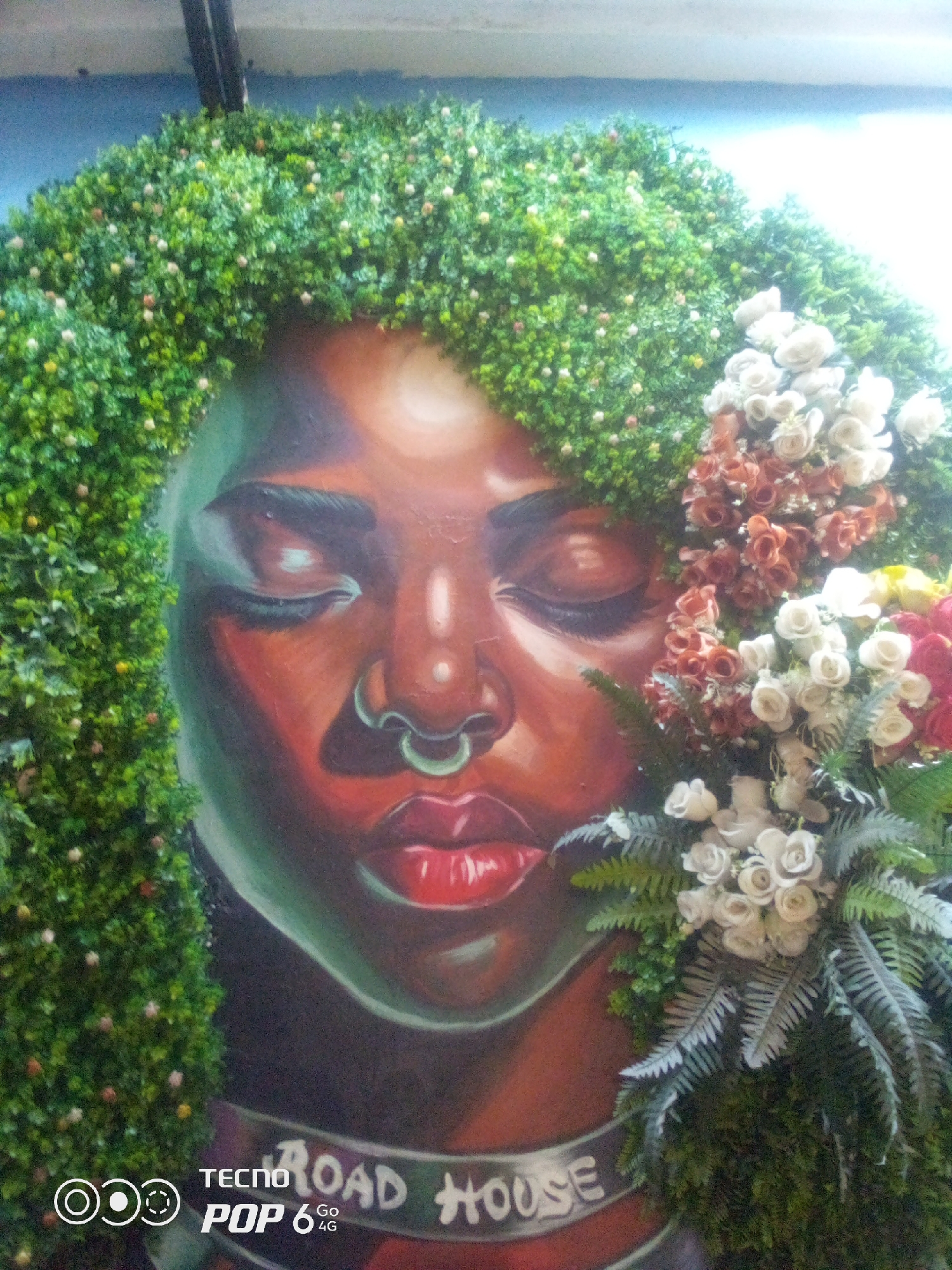 The image depicts a mural on a wall, featuring a close-up of a person's face surrounded by greenery and artificial flowers. The mural is rendered in a realistic style, with the face having closed eyes, a nose ring, and red lips. The surrounding greenery appears to be a dense, artificial hedge-like material, with some clusters of artificial white and reddish-brown flowers. A banner with the words "ROAD HOUSE" is visible across the lower portion of the mural. In the bottom left corner, a watermark displays "TECNO POP 6 4G". The overall scene suggests an artistic installation, possibly a facade decoration for a business or public space. The location is identified as Howayi, Nigeria.