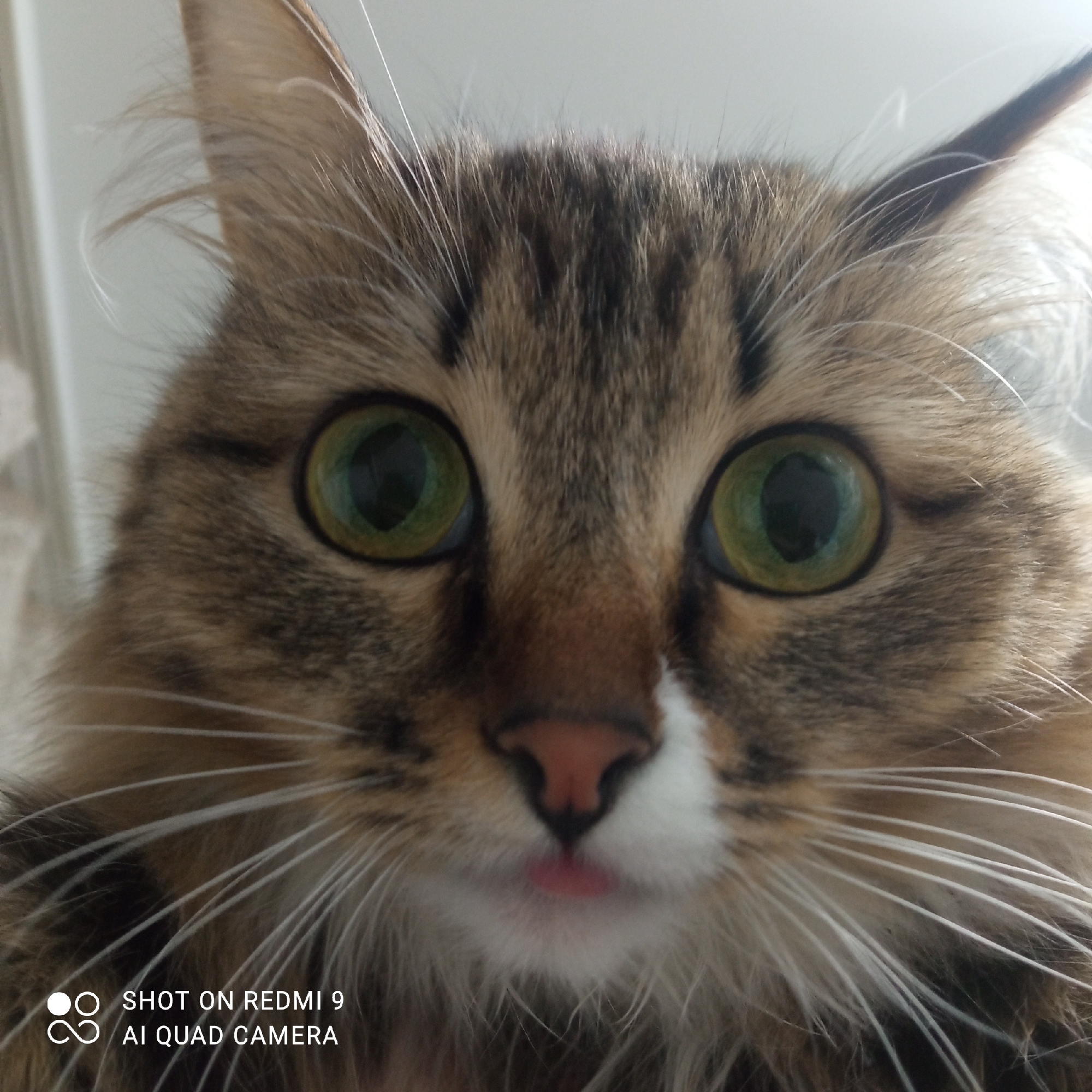 Close-up portrait of a brown tabby cat with green eyes and a partially visible pink tongue. The cat has a white patch on its face around the nose and mouth. The photo includes a watermark that reads "SHOT ON REDMI 9 AI QUAD CAMERA". The location is not discernible from the image.