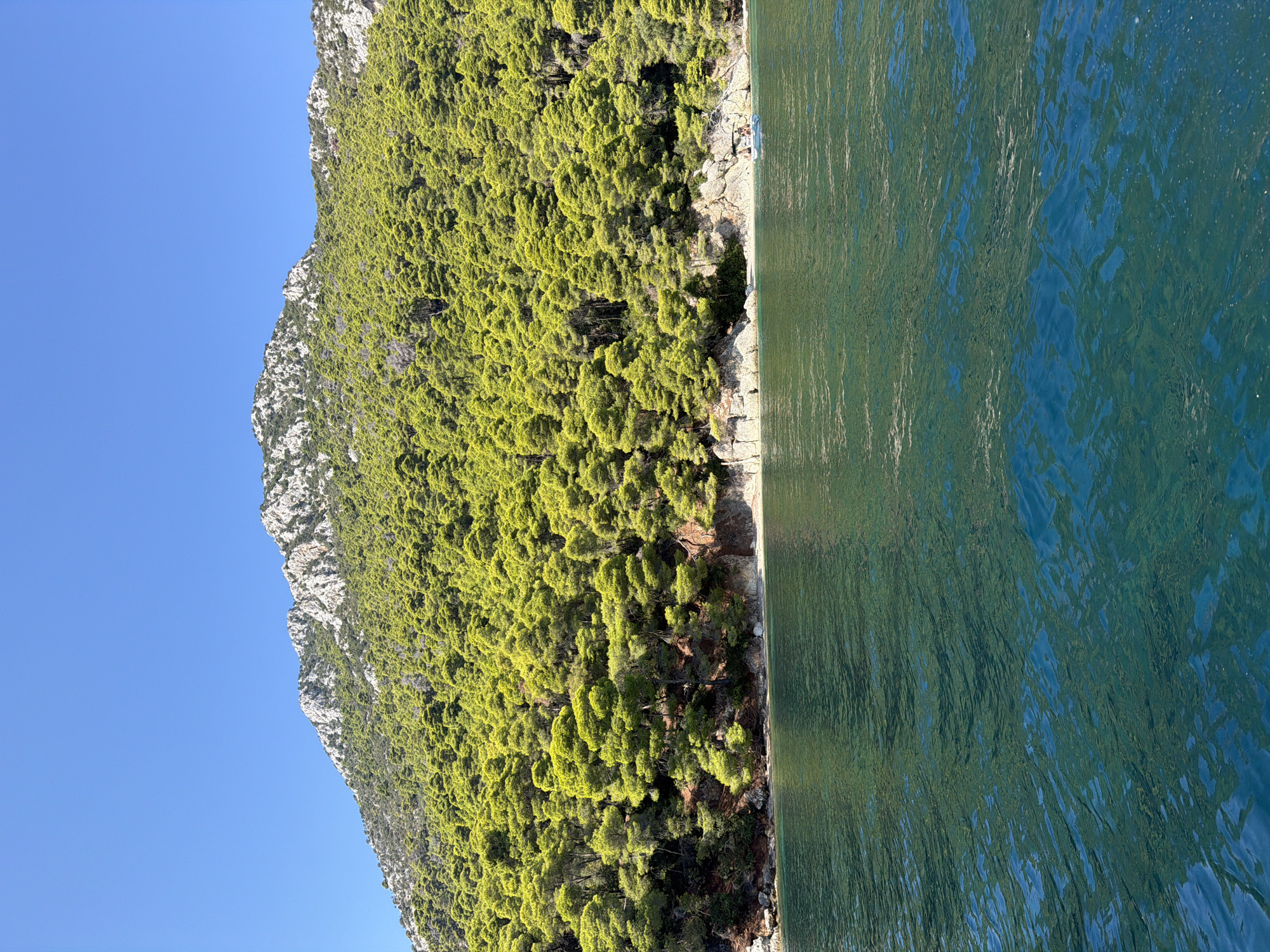 The image depicts a coastal scene under a clear blue sky. A densely forested green mountain slopes down to a rocky shoreline. The water in the foreground is a deep blue-green, with ripples reflecting the overhead light. A small boat with people is visible near the shore. The location is the Municipal Unit of Kalamos, Greece.