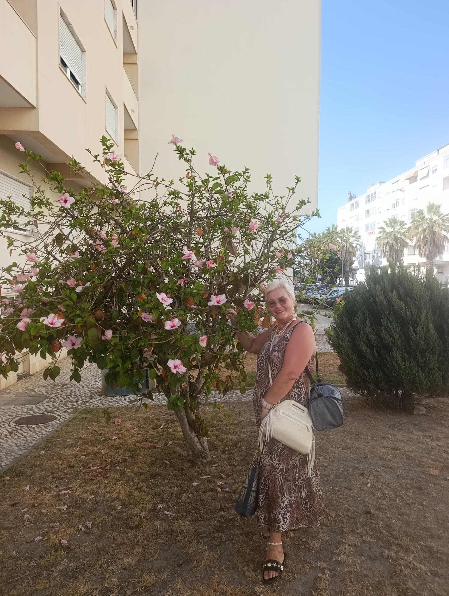A woman with blonde hair and sunglasses stands next to a hibiscus tree in bloom. She is wearing a leopard-print dress and multiple bags. The scene appears to be outdoors during the day, with buildings and palm trees in the background, suggesting a warm climate. The ground is covered in dry grass and fallen hibiscus petals. The woman is smiling and touching a flower on the tree, indicating a pleasant and relaxed mood. The location is identified as Setúbal, Portugal.