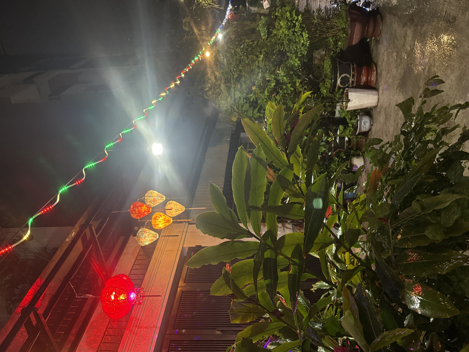 The image depicts an illuminated outdoor pathway at night in Ngũ Hành Sơn Ward, Vietnam, likely after rainfall, given the wet surfaces. In the foreground, large-leafed green foliage with visible water droplets occupies the lower left. Above this, a large red spherical lantern hangs to the left of a cluster of five smaller, decorative lanterns displaying orange and yellow hues. A string of multicolored (red, green, white) LED lights extends diagonally across the upper frame, stretching from the left building facade towards the distant right, with several individual lights emitting bright white illumination. A dark building facade with a gate or door is visible behind the lanterns on the left. The paved ground, wet and reflective, leads past numerous potted plants of varying sizes and types arranged along the right side, receding into the dimly lit background where another building is faintly visible. No individuals, actions, or interactions are present.