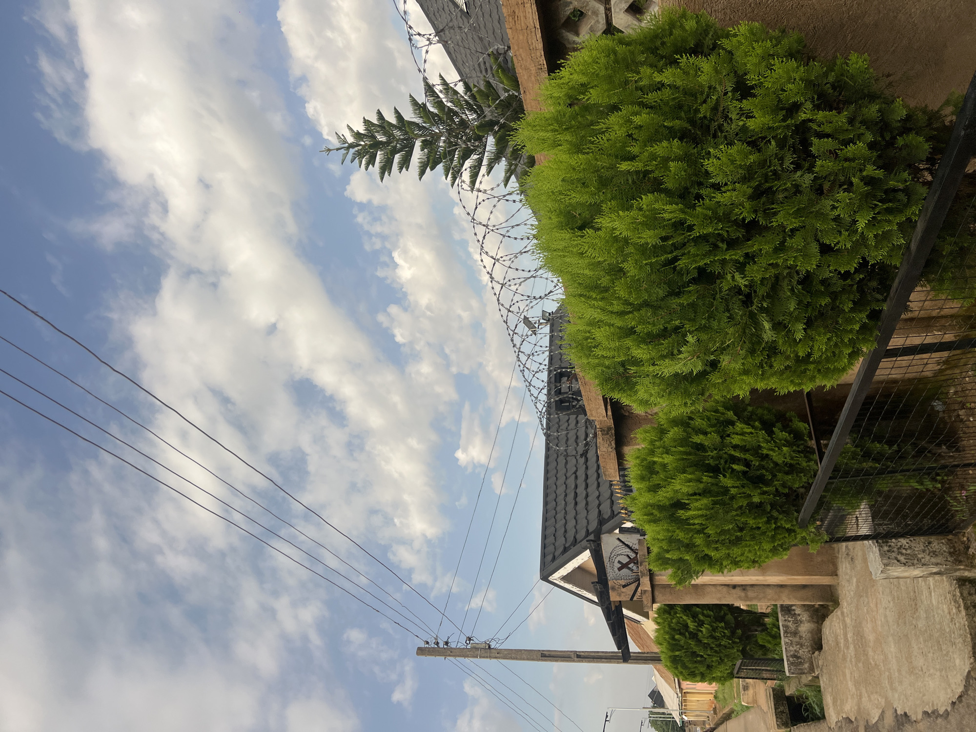 A medium shot captures a view of a residential property on a street in Jos, Nigeria. The foreground is dominated by lush, green, conical bushes and a section of a black metal fence. Behind the bushes, a tan-colored wall topped with barbed wire runs horizontally across the frame. The wall encloses a property with a dark-tiled roof and a tall, thin evergreen tree piercing the sky. To the left, a concrete sidewalk runs alongside a drainage channel. A wooden utility pole with multiple power lines stretches diagonally across the upper portion of the image against a bright blue sky filled with scattered white clouds. The scene appears to be a clear day, likely in the morning or late afternoon, given the quality of light. No people are visible in the image.