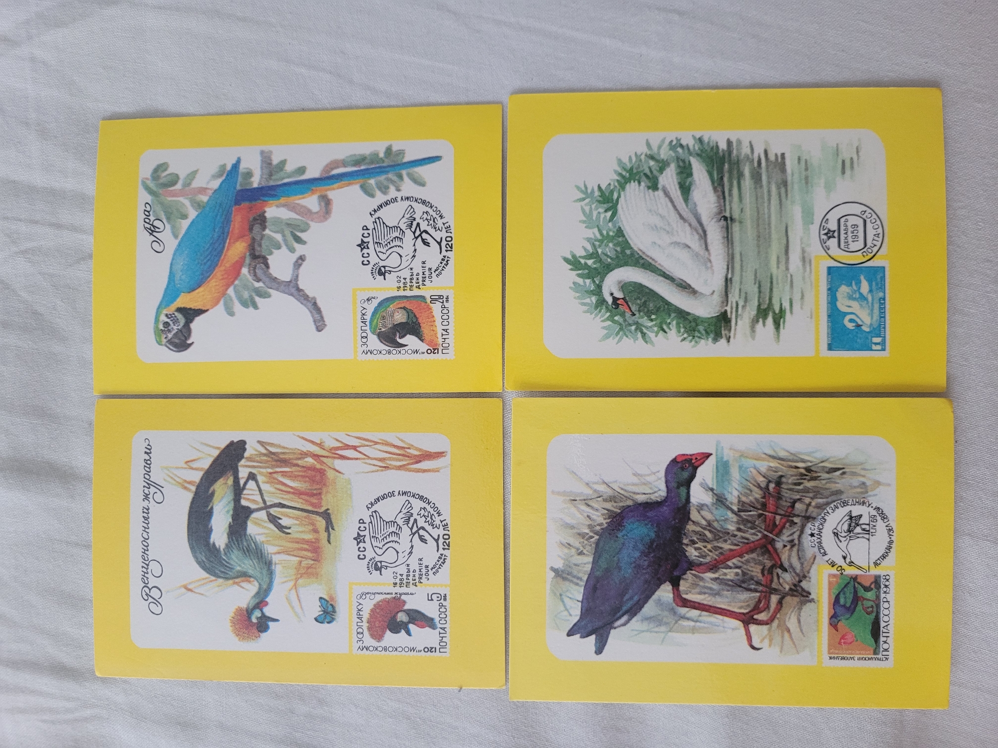 Four yellow postcards are arranged in a 2x2 grid on a white surface. The postcards depict birds. The top left postcard shows a crowned crane and a blue butterfly. The top right postcard shows a blue and yellow macaw perched on a branch. The bottom left postcard displays a purple swamphen. The bottom right postcard features a white swan on water. Each postcard has stamps and text in Cyrillic script. There is no visible indication of the city of Jūrmala, Latvia.