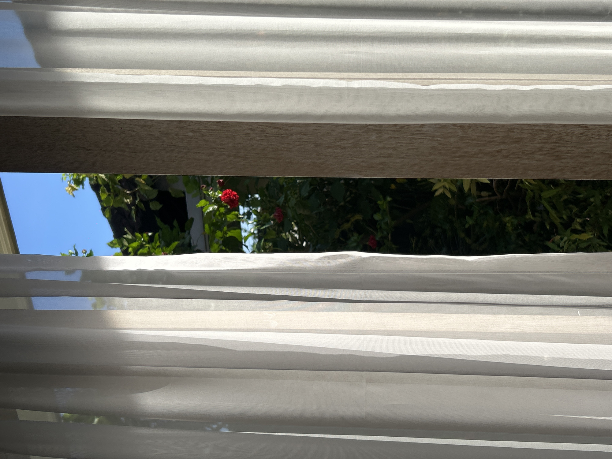 The image presents a tranquil outdoor scene viewed through a window, framed by white, semi-transparent curtains or blinds. These horizontally arranged window coverings dominate the foreground, showcasing gentle folds and shadows cast by bright daylight.
A prominent, dark brown wooden beam or window frame extends horizontally across the middle of the image, separating the upper and lower portions of the outdoor view. Beyond this frame, a vibrant natural landscape is visible under a clear, bright blue sky, predominantly in the upper left. The exterior features abundant lush green foliage and tree branches, suggesting a dense garden or natural area. Several small, vivid red flowers, possibly roses, are scattered within the greenery, adding a pop of color.
The strong, natural light indicates it is daytime, likely a sunny morning or afternoon. The overall atmosphere is peaceful and serene, emphasizing a connection with nature. No specific activities or people are depicted, and no text is visible. The lush vegetation aligns with the tropical environment of North Kuta, Indonesia.