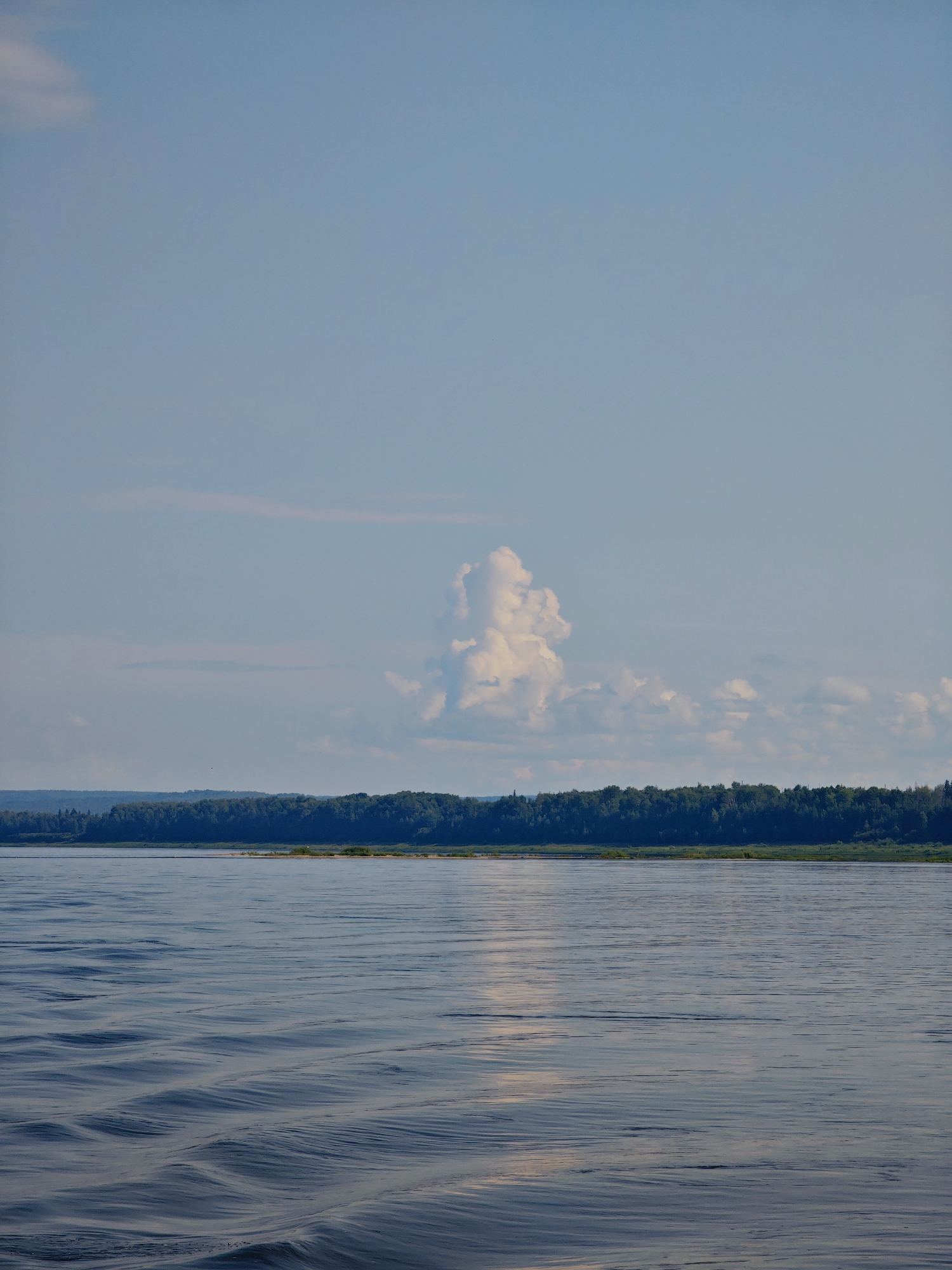 The image depicts a wide river under a clear blue sky with scattered clouds. A dense green forest lines the distant bank of the river. The foreground shows the rippling surface of the water, with gentle waves catching the sunlight. There are no people or man-made structures visible in the scene. The location is identified as Novonazimovo, Russia.