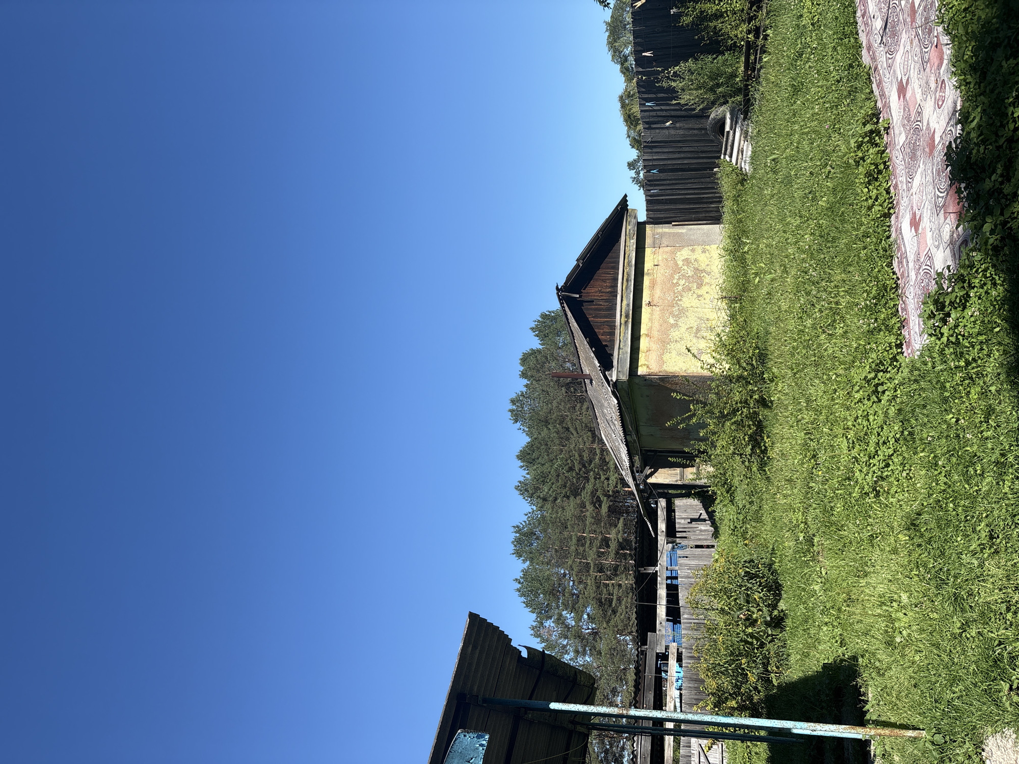 A vertical, eye-level, outdoor shot captures a sunlit, overgrown backyard in the village of Malinovo, Russia. The bright blue sky occupies the upper half of the frame. In the middle ground, a small, dilapidated, yellow building with a dark, weathered wooden roof stands centrally. To its left, a rustic, partially covered structure with a corrugated metal roof, supported by a blue metal pole, is visible. Dense green grass and various plants fill the foreground and surround the structures. A dark wooden fence runs along the right side of the property, with some laundry hanging from clothespins. In the background, a line of tall pine trees borders the scene. The overall impression is one of neglect and rural simplicity.