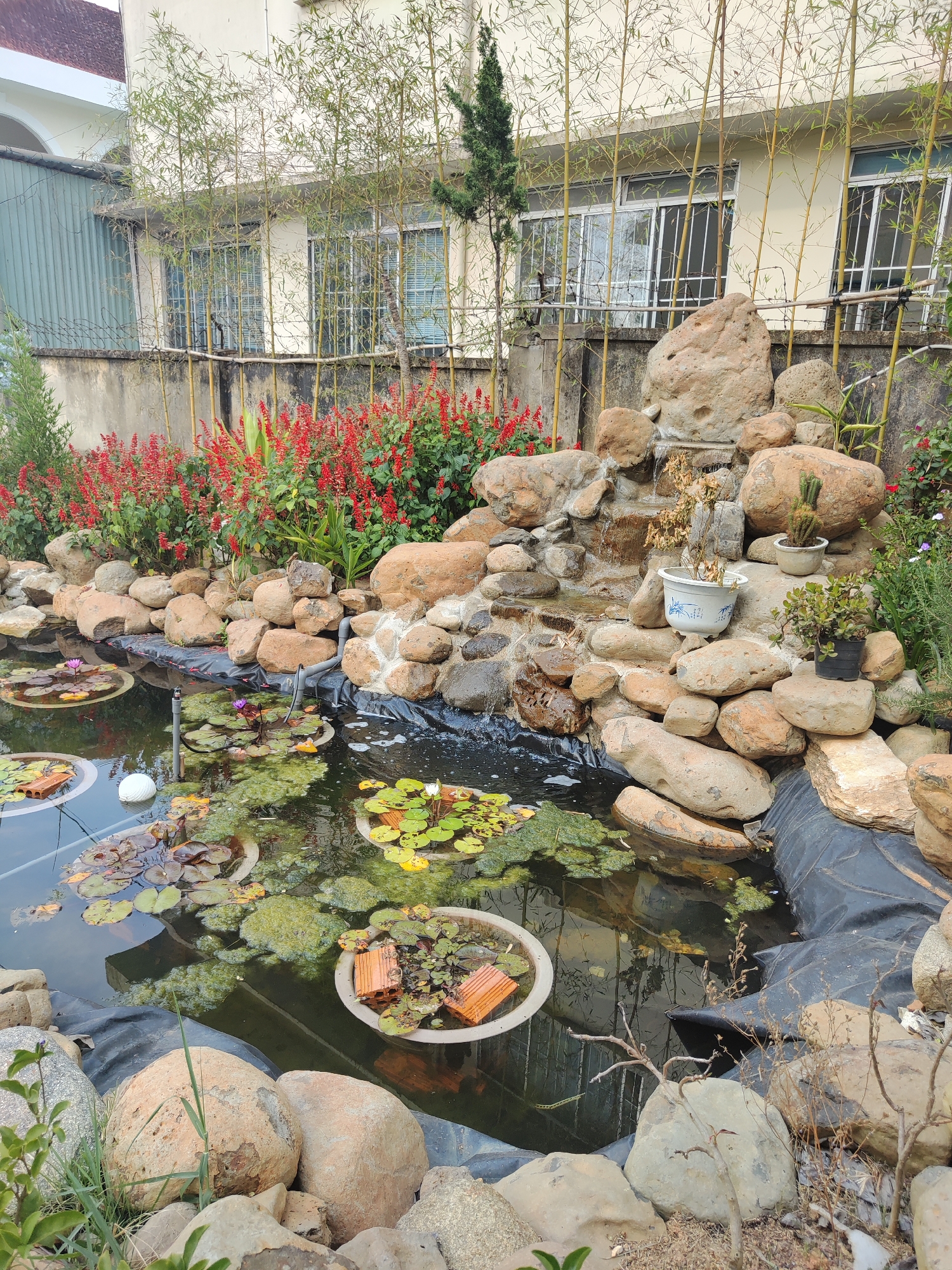 This is a photograph of a pond in Lâm Viên - Đà Lạt, Vietnam. The pond is constructed with large stones and lined with black plastic. The water contains lily pads, algae, and circular planters with bricks inside. A small waterfall is constructed from rocks, and decorative plants are placed atop the rocks. Red flowering plants are visible along the back edge of the pond. Bamboo plants and a building with barred windows are situated behind the pond. Rocks and sparse vegetation surround the front edge of the pond. The overall scene is of a constructed water feature in a garden setting.