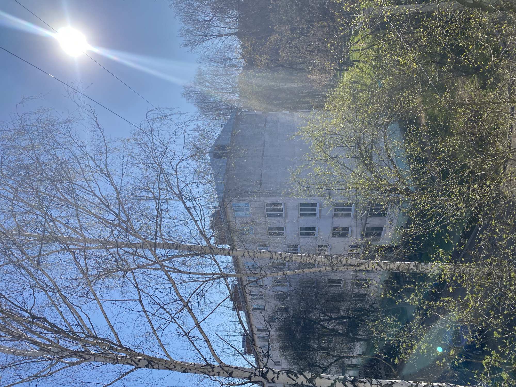 The image depicts a tall, gray, multi-story building located in Chaikovsky, Russia. The building appears to be residential, with several rows of windows. The building is partially obscured by trees, some bare and some with new green leaves. The sky is blue and clear, with the sun shining brightly. There are utility wires visible in the sky. The image is oriented in an unusual position, making the building appear to be situated at an angle.