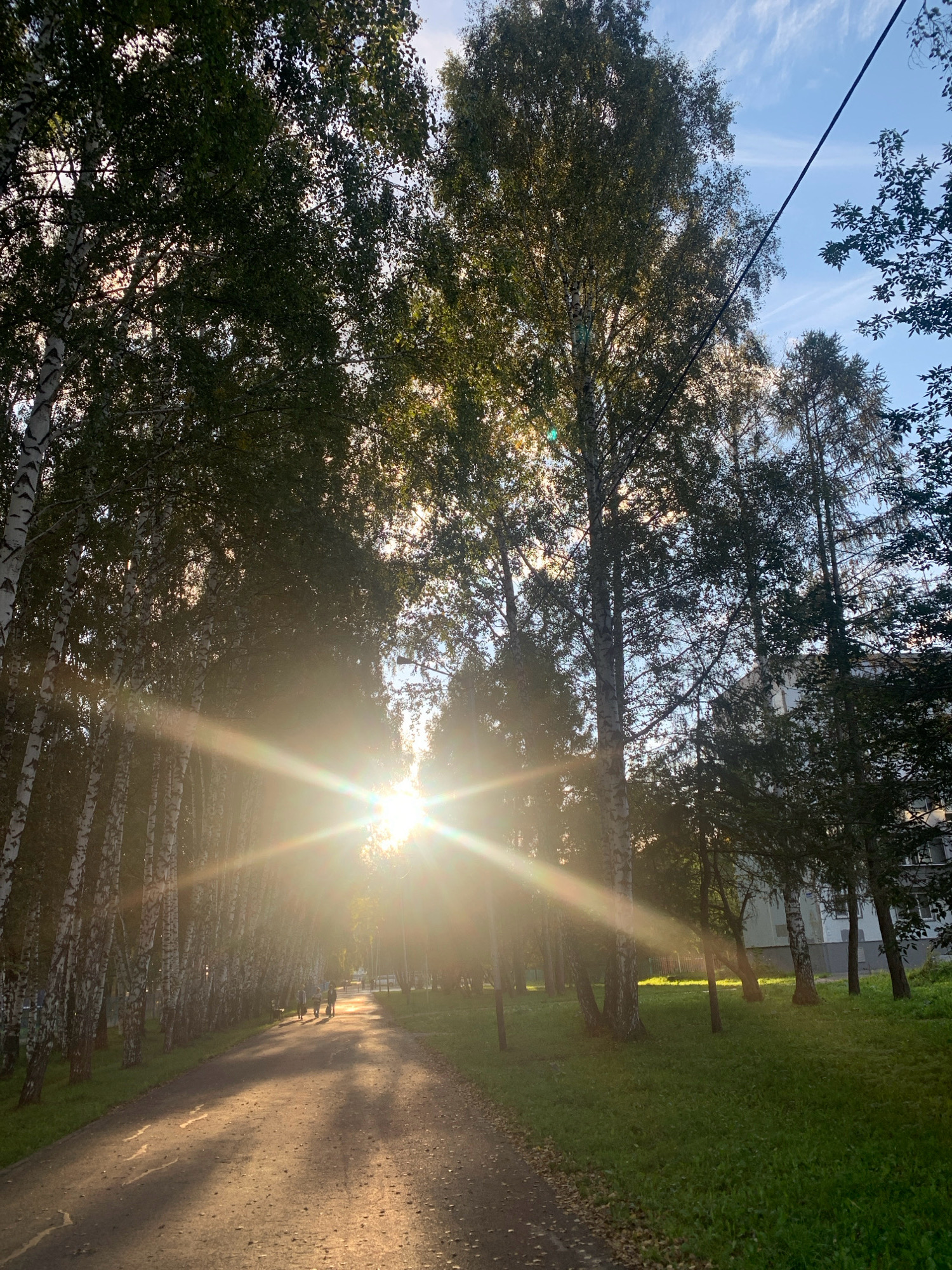 The image depicts a sun-drenched pathway lined with birch trees in Prokopyevsk, Russia. The sun is low in the sky, casting long shadows across the asphalt path and illuminating the leaves of the trees with a golden light. A few people are walking along the path in the distance, appearing as silhouettes against the bright sunlight. The scene is set in a park-like environment, with green grass on either side of the path and a building visible in the background. The overall impression is one of a peaceful late afternoon in a city park.