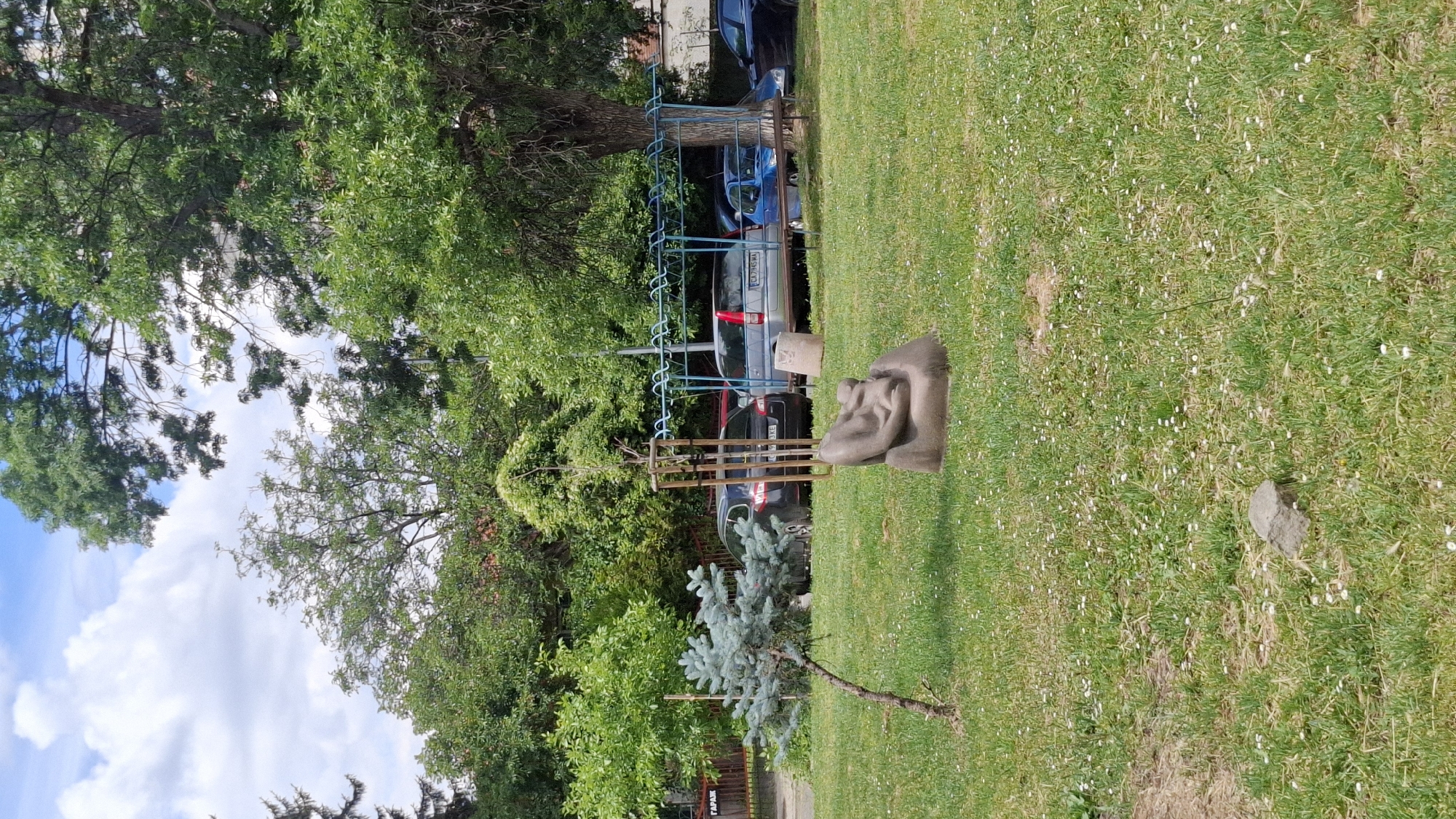 The image captures an outdoor scene in a residential area of Sofia, Bulgaria. In the foreground, a small, thin blue spruce tree is planted in a grassy area dotted with white wildflowers. To the right of the tree, a gray stone sculpture depicts two figures in a seated embrace. Beyond the sculpture and the tree, a parking lot is visible with several cars parked under a blue metal canopy. Cars include a dark gray station wagon, a silver SUV with a Bulgarian license plate (CA 7945 MA), a blue hatchback, and a black sedan. In the background, dense green trees and foliage form a backdrop, with some buildings partially visible. A fence with the Cyrillic word "ГАРАЖ" (Garage) is visible to the far left. The sky above is partly cloudy with blue patches.