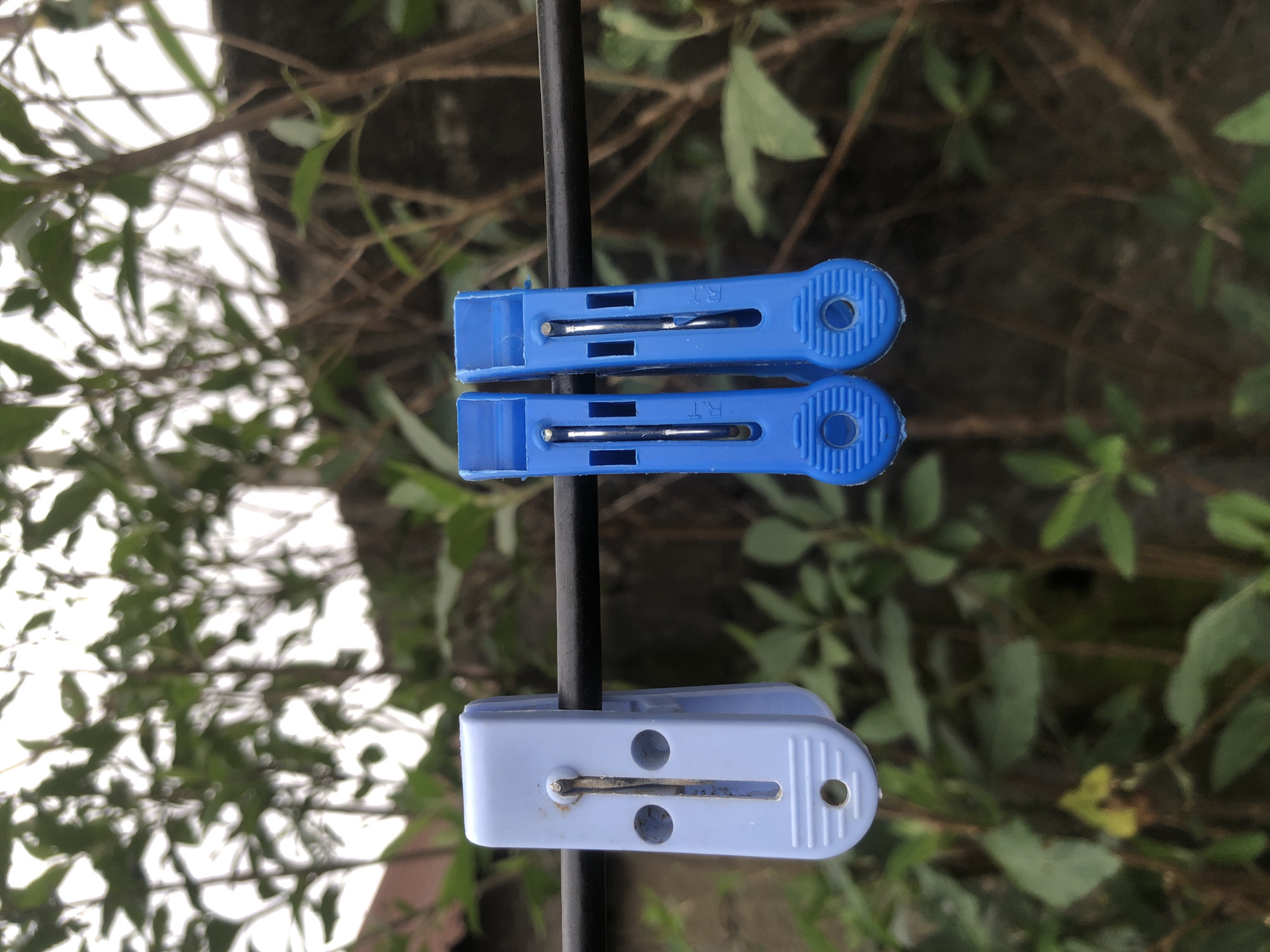 Three clothespins are clipped to a black clothesline outdoors, with lush green foliage and a dark, textured wall in the background. The clothespins are positioned from left to right: a light blue one, followed by two identical bright blue ones. The blue clothespins are slightly closer together than the blue one. The scene appears to be located in Ado, Nigeria.