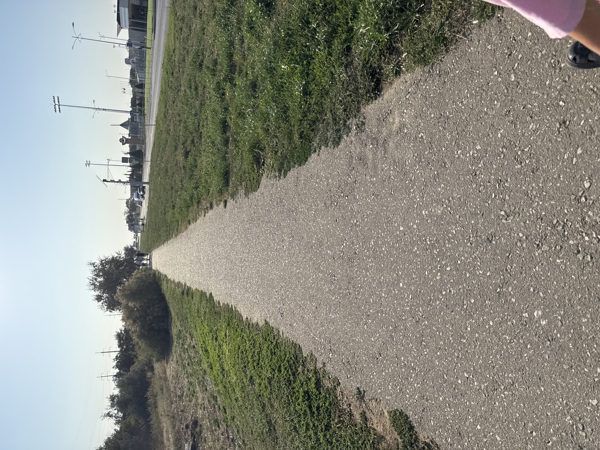 An asphalt path runs through a grassy area under a clear sky. On the left side of the path, a sparsely vegetated area transitions to greener grass. On the right side of the path, a well-maintained grassy area extends to a road with traffic. In the distance, a sports stadium with tall light poles and buildings is visible. A group of people is walking on the path in the distance. The location is identified as Yevpatoriya, Ukraine.