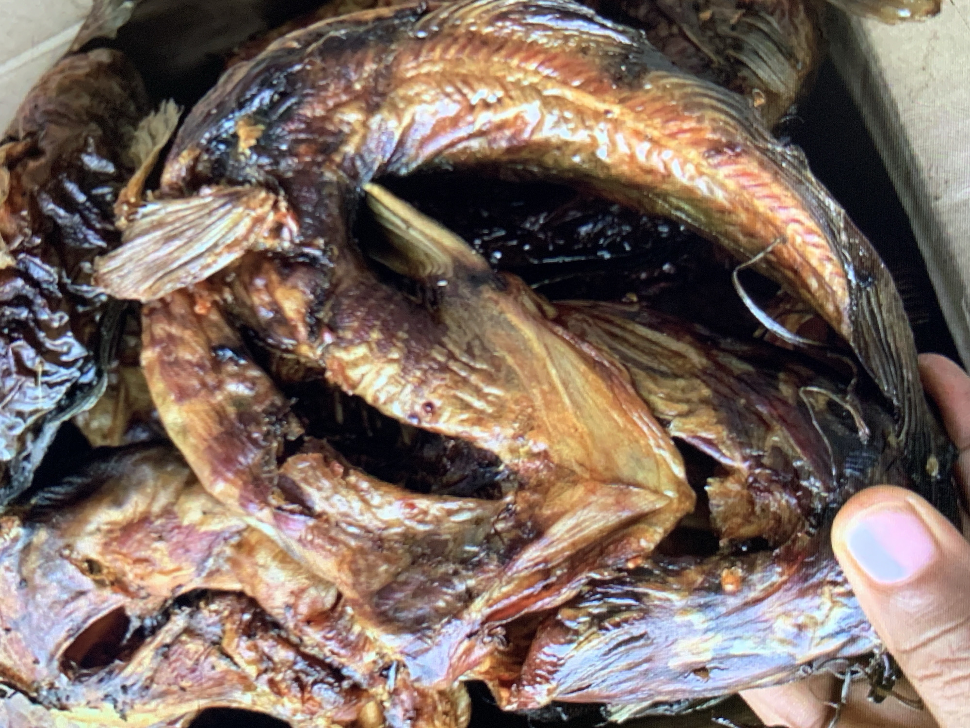 A close-up shows a pile of smoked fish, possibly catfish, with a person's hand partially visible at the right edge of the frame. The fish are dark brown and shiny, with visible fins and bone structure. The scene is likely in Rafin Par, Nigeria.