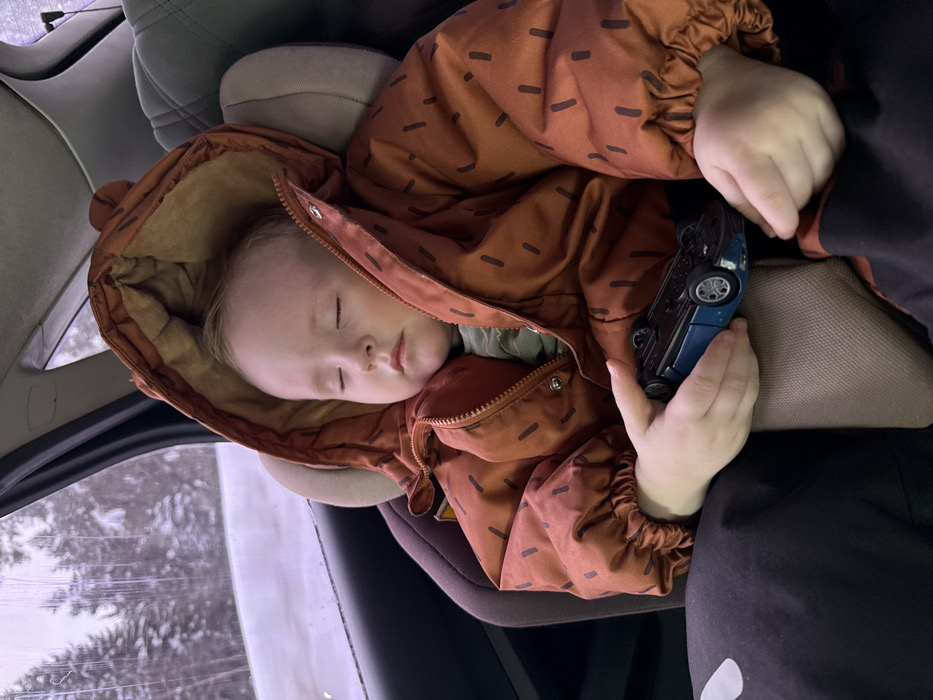 A young child is observed sleeping in a brown child safety seat within the rear compartment of a vehicle in Ol'khovochka, Russia. The child, dressed in a rust-orange hooded winter jacket with dark, dash-like patterns and dark trousers, has their eyes closed and head slightly tilted. A small, blue toy car is held upside down in the child's hands. Visible through the vehicle's rear window is a winter landscape featuring snow-covered evergreen trees and a snowy ground, indicating cold conditions. The interior of the vehicle shows parts of a tan headrest and dark window trim.