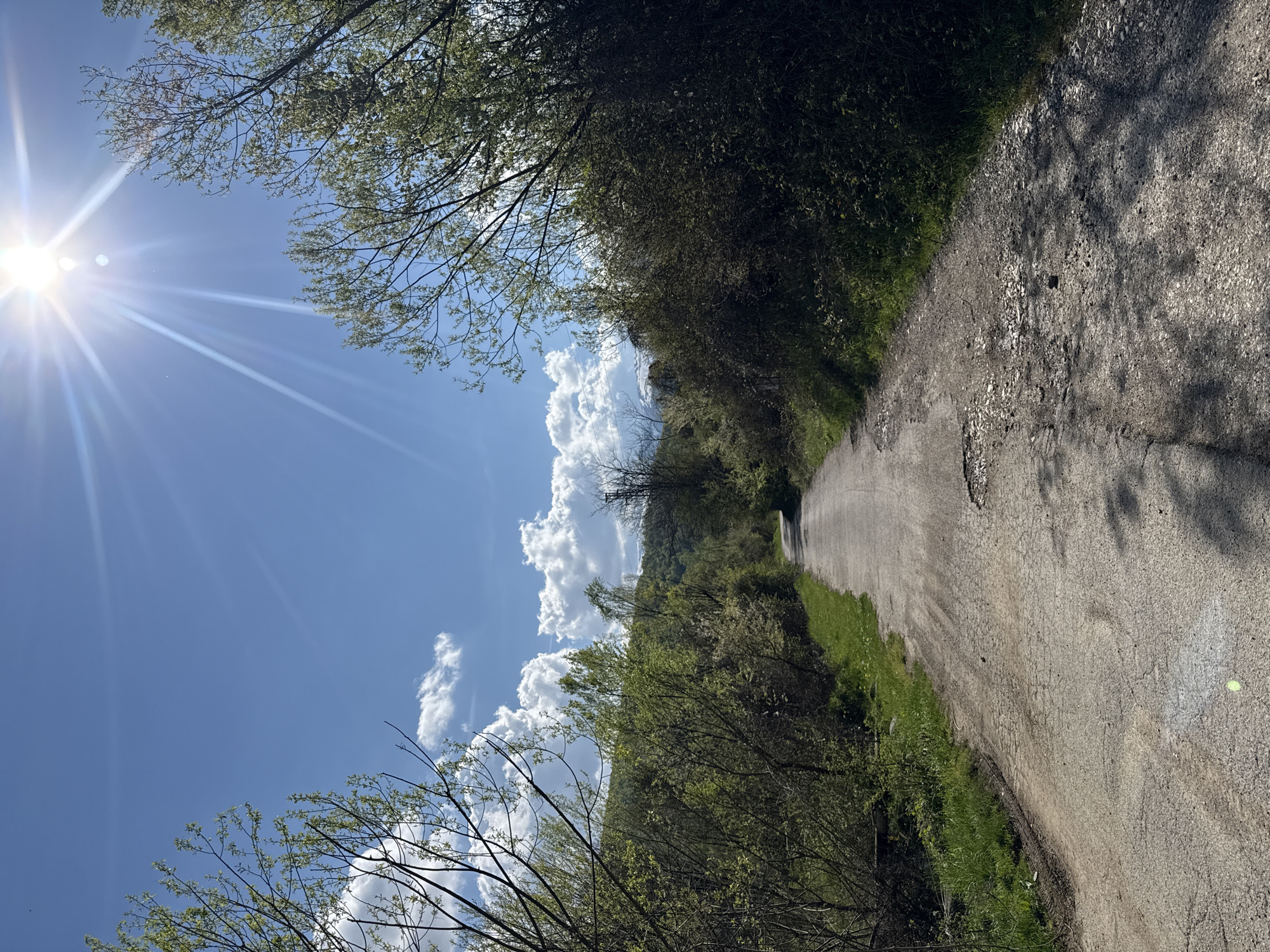 The image shows a paved road leading into the distance, flanked by trees and foliage on both sides. The road's surface appears worn and uneven. The sky is blue with scattered clouds, and the sun is visible, casting strong light and glare. The location is likely near Berkovitsa, Bulgaria, based on the request. The environment appears natural, with no visible buildings or signs of urban development, suggesting a rural or semi-rural location. No people are visible.