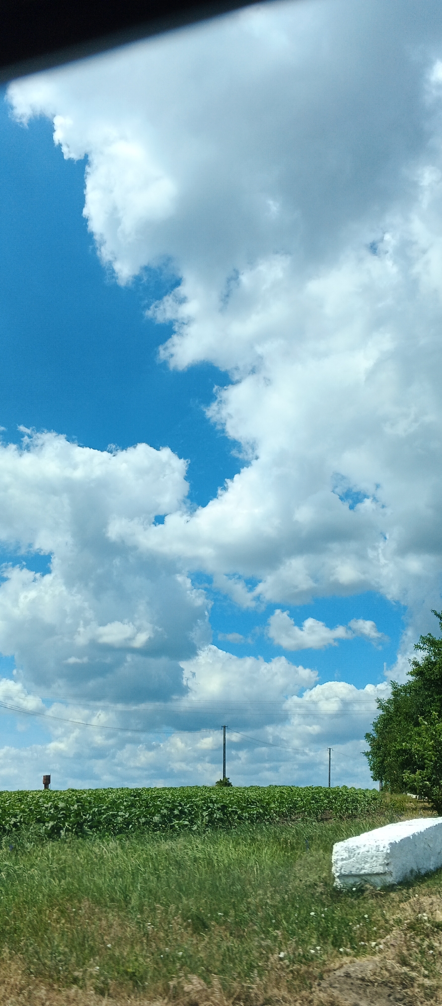 The image shows a bright, sunny day with a blue sky filled with fluffy white clouds. In the foreground, there is a grassy field with some dried grass and wildflowers. To the right, a white concrete object is partially visible, lying on the grass. In the middle ground, a lush green field stretches across the horizon, possibly a crop of soybeans. There are two tall, thin poles with wires strung between them running horizontally across the field. A small, dark brown structure resembling a water tower or a small silo stands in the far left of the green field. A portion of a green tree is visible on the far right edge of the image. The scene appears to be in an open, rural area, consistent with the outskirts of Mala Smilyanka, Ukraine.