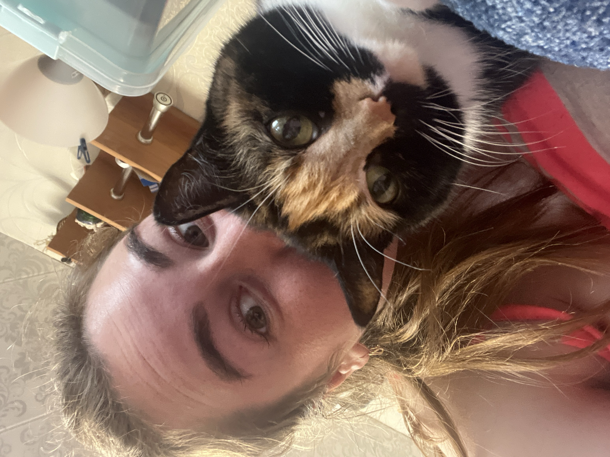 A close-up, disoriented selfie features a person and a calico cat indoors. The image is rotated approximately 90 degrees clockwise, making the subjects appear on their sides.
In the lower portion of the frame, a person with light skin, brown hair, and defined eyebrows looks towards the camera with brown eyes. Only their forehead, eyes, and part of their cheek are clearly visible. They appear to be wearing a red garment.
Dominating the upper half, a calico cat with black, white, and orange-brown fur and prominent white whiskers gazes directly into the camera with large, curious green eyes. The cat's head is positioned intimately close to the person's, suggesting an affectionate interaction, possibly resting on their head or shoulder.
The background indicates a domestic indoor setting. To the left, a light-colored wall with a subtle patterned wallpaper is visible. A light blue plastic container rests on a small, light wooden shelf with metal supports, beneath which a white, conical lamp shade is partially seen. A blue textured fabric, possibly a blanket, occupies the upper right corner, partially obscuring the person's hair and the cat's body. There is no visible text. The overall scene captures a candid and affectionate moment between a pet and its owner.
