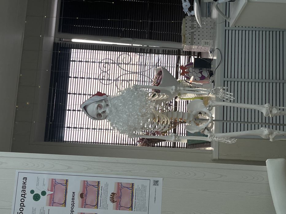 A skeleton dressed as Santa Claus stands near a window with blinds. It wears a red and white hat and a fluffy white beard. Various items are stacked on a shelf near the skeleton, including a white box with polka dots. A poster with anatomical illustrations is partially visible in the foreground, with text written in a Cyrillic alphabet. The photo appears to be taken indoors.