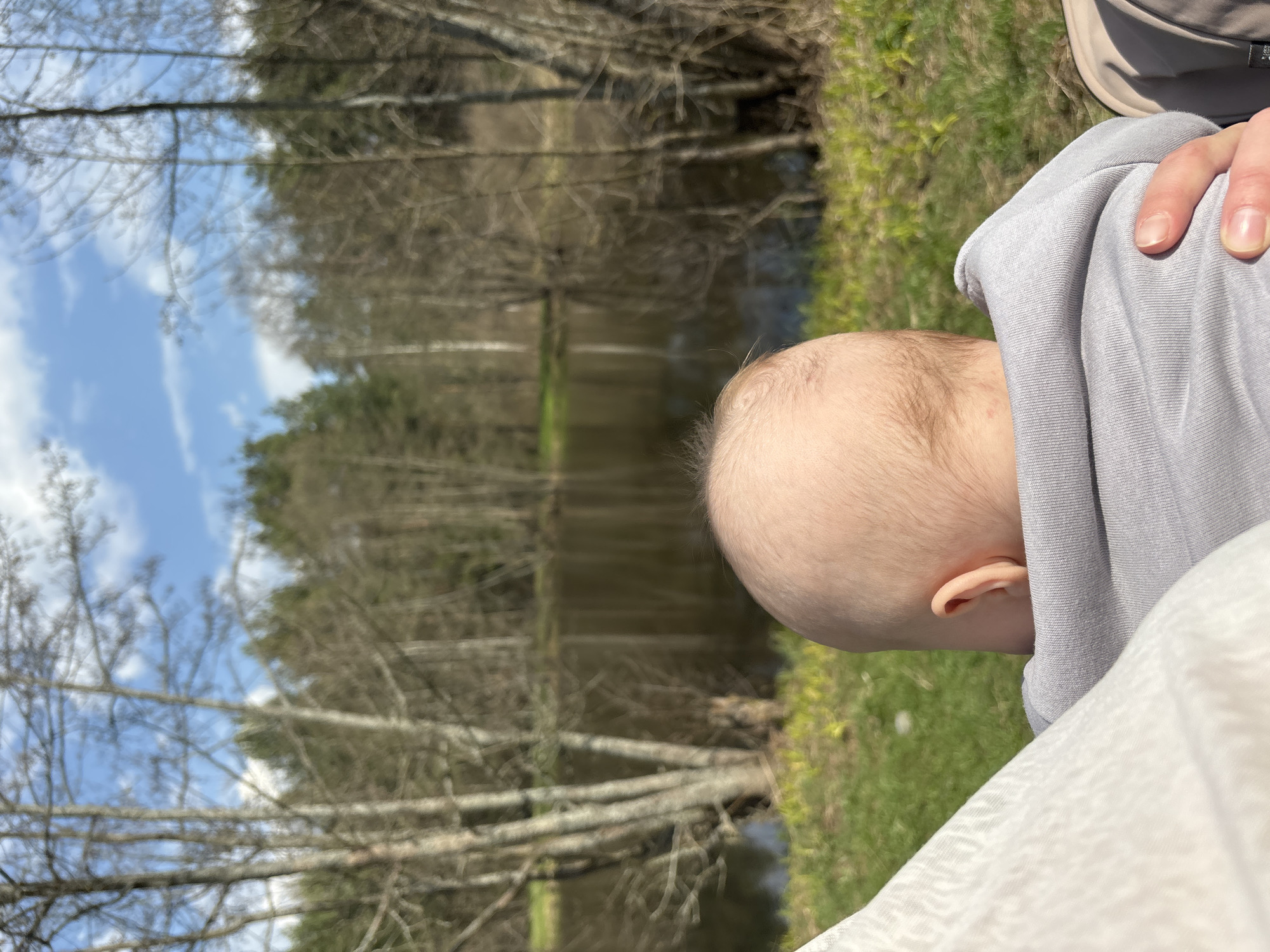 The image shows a baby's head and part of a person's hand and clothing against a blurred background of a lake, trees, and sky. The lake is surrounded by trees with bare branches, indicating a cooler season, with some green grass visible. The sky is blue with scattered clouds. The person is wearing a gray garment, possibly a sweatshirt or jacket. The location is Shevlyagino, Russia, based on the prompt.